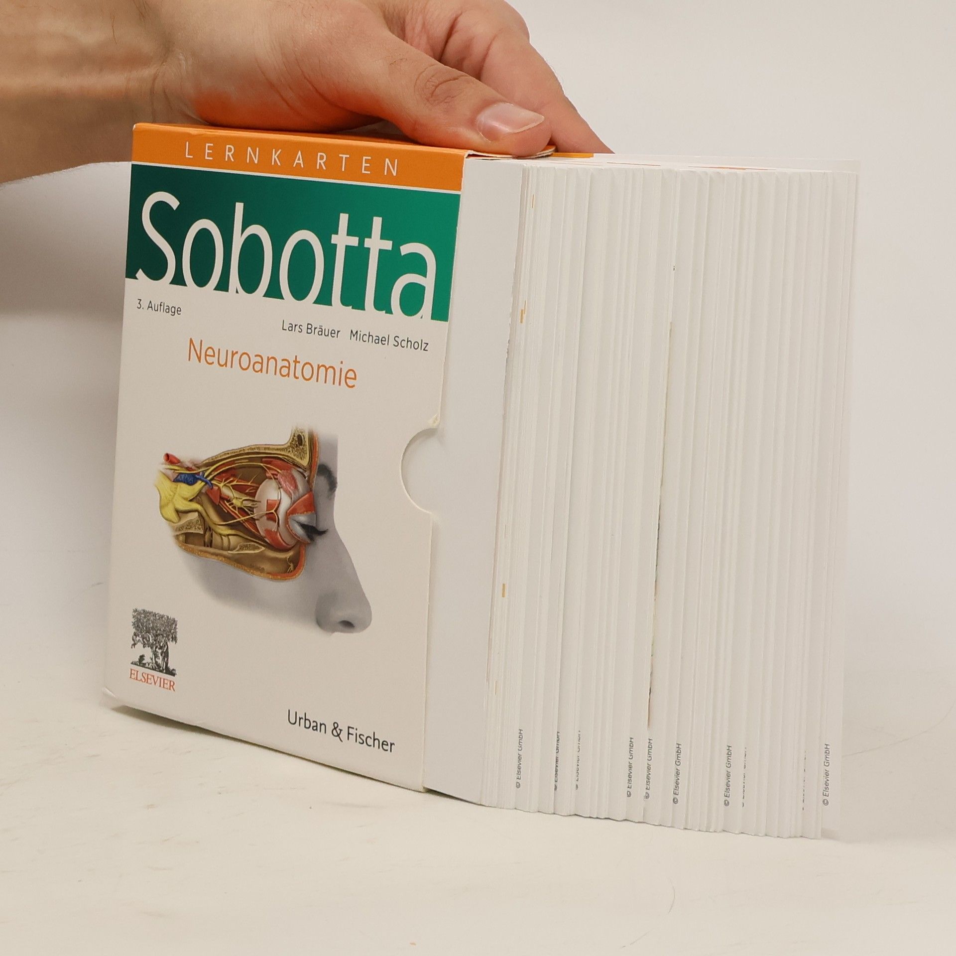 Sobotta Lernkarten Neuroanatomie