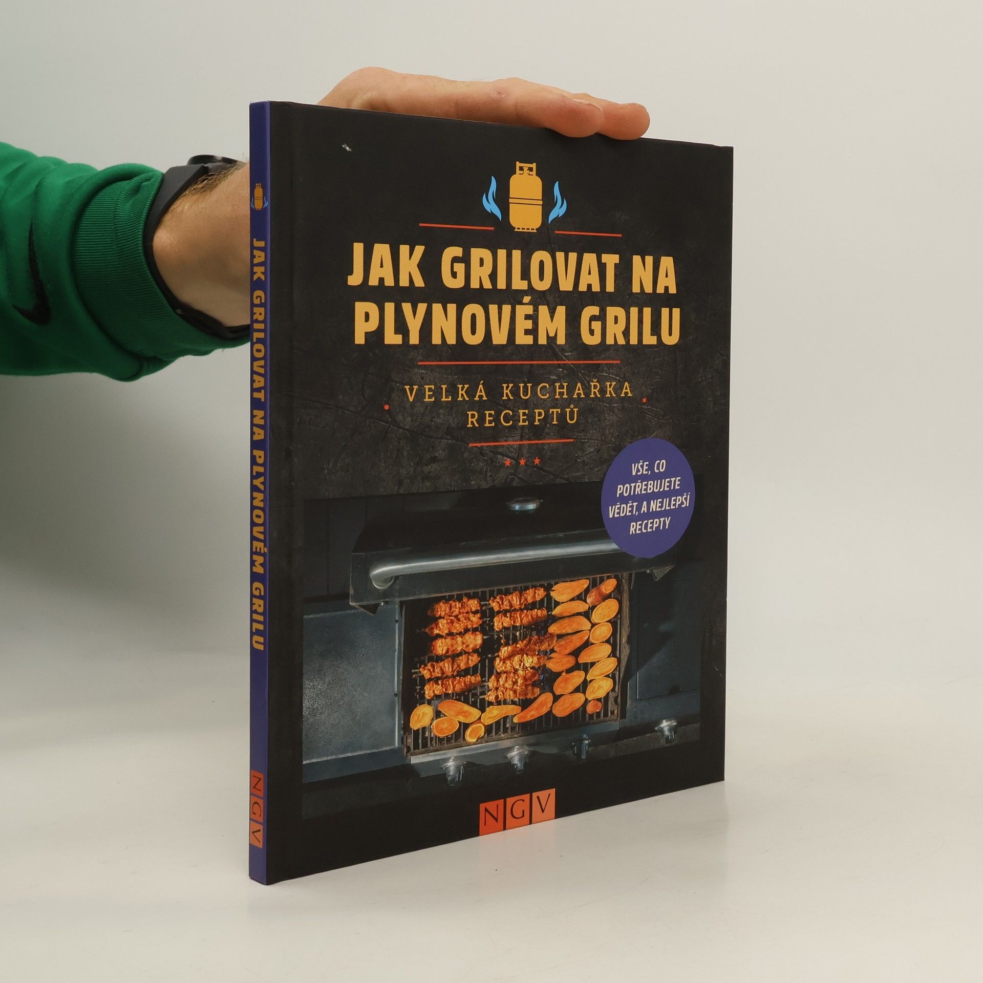 Kolektiv autorů Jak grilovat na plynovém grilu