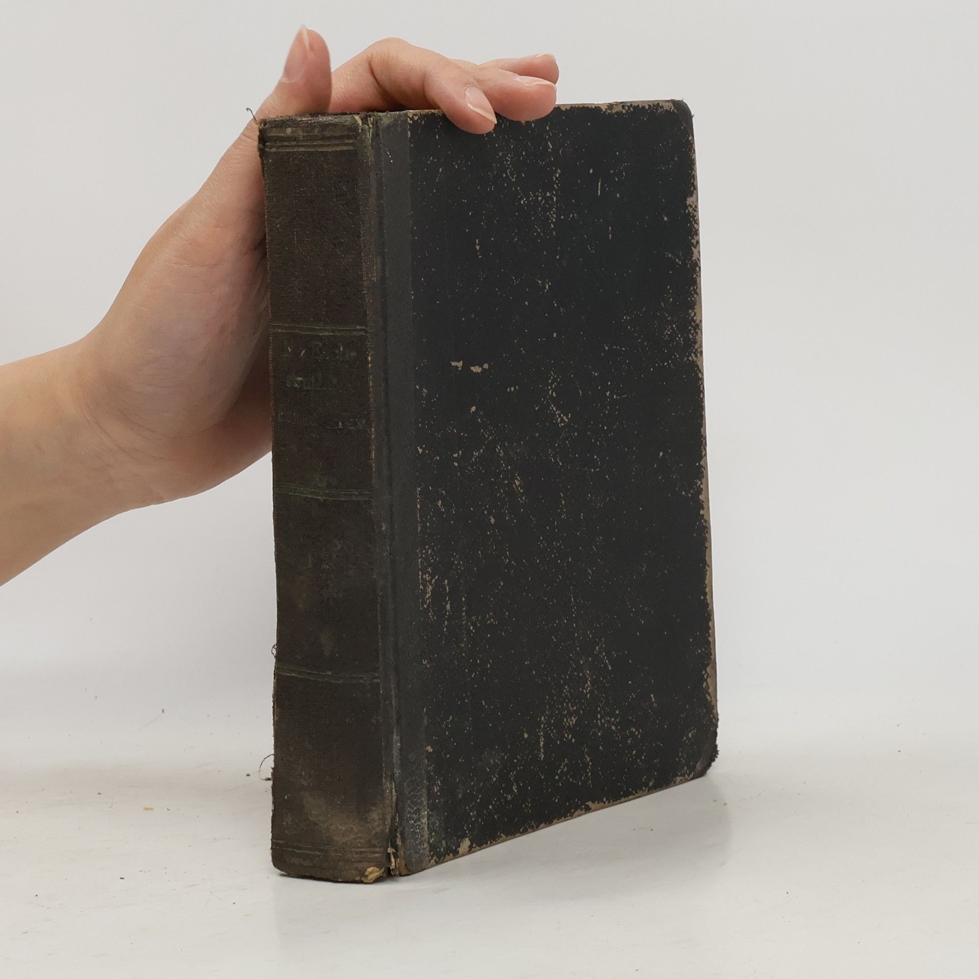 Nataly von Eschstruth Polská krev I.