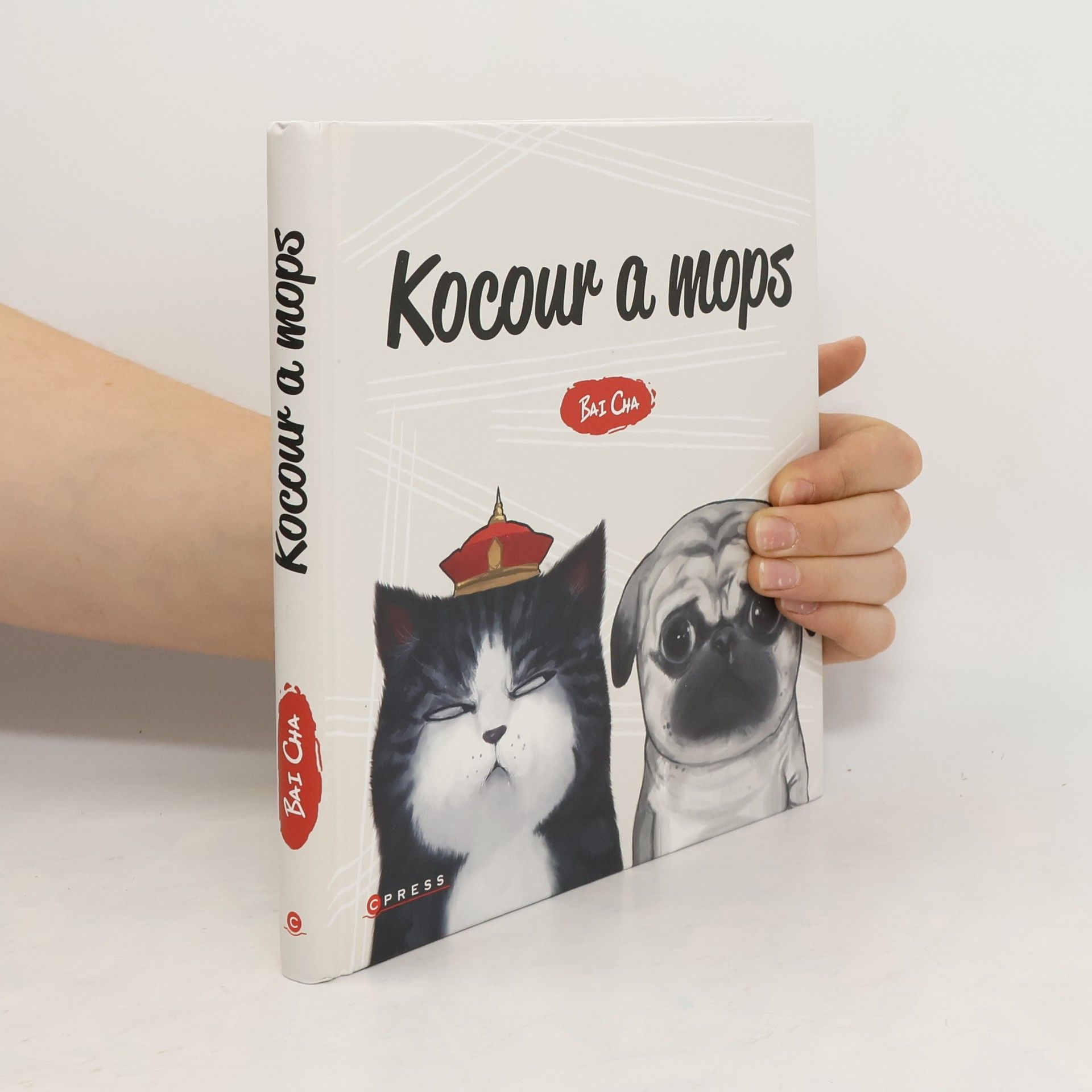 Hana Vašková Kocour a mops