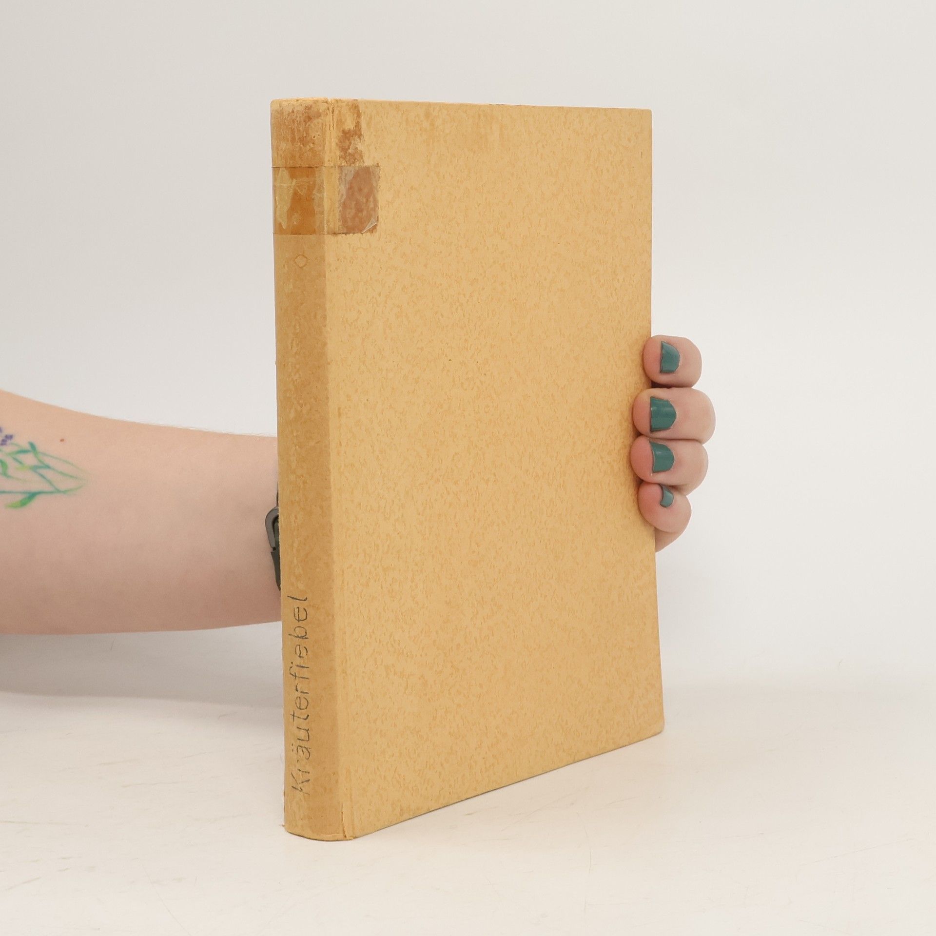 Kolektív autorov Kölbls Kräuterfibel