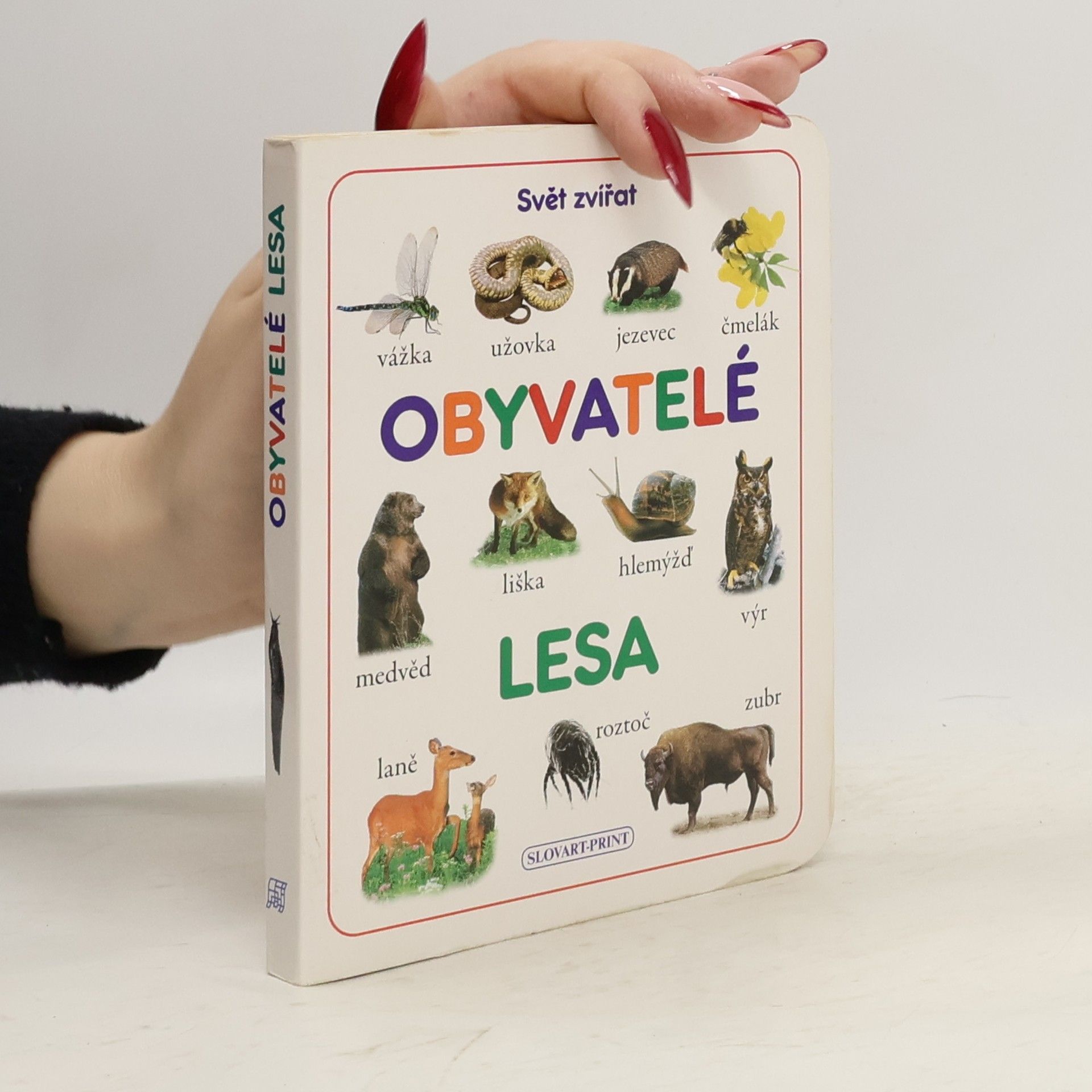 Obyvatelé lesa