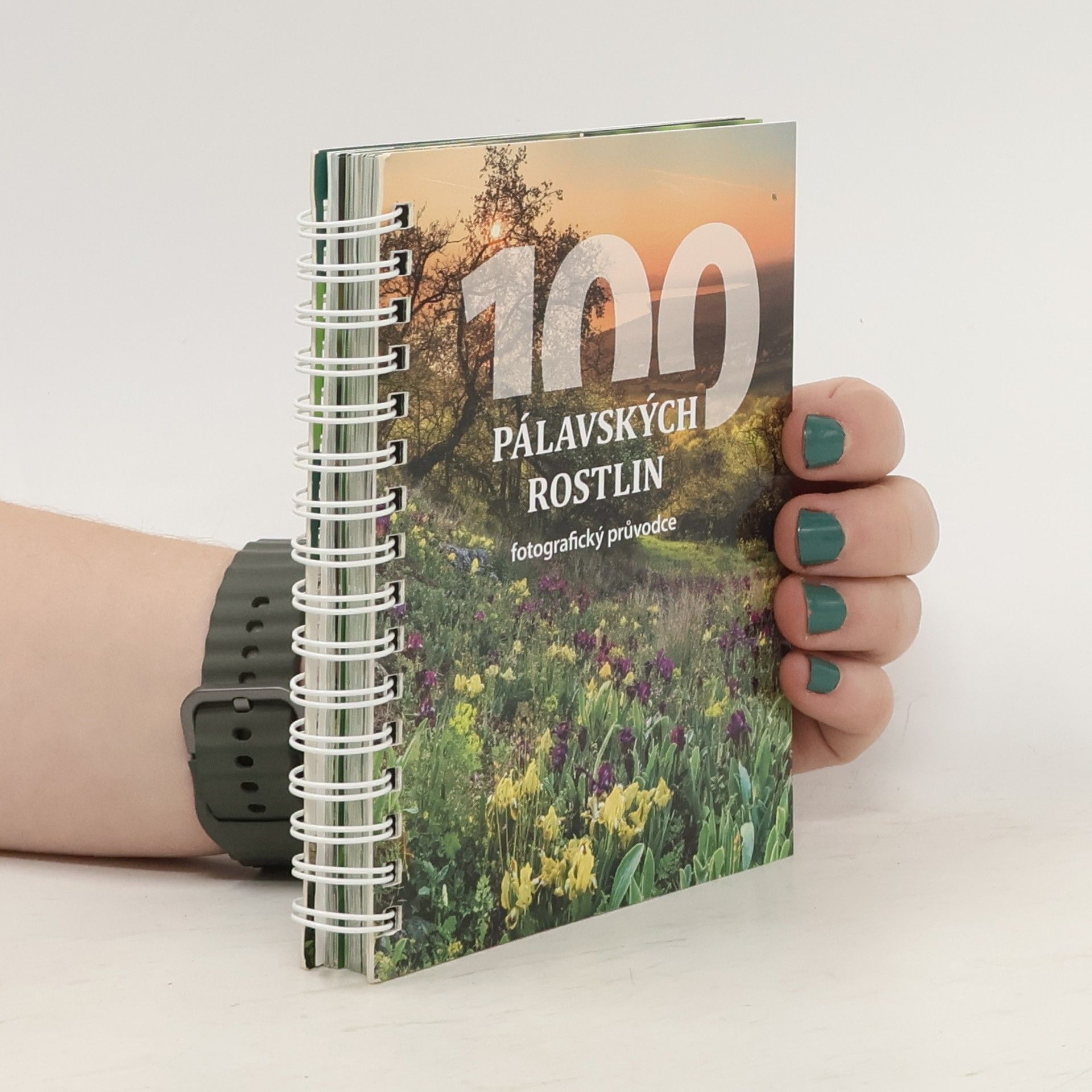 Helena Prokešová 100 pálavských rostlin: fotografický průvodce