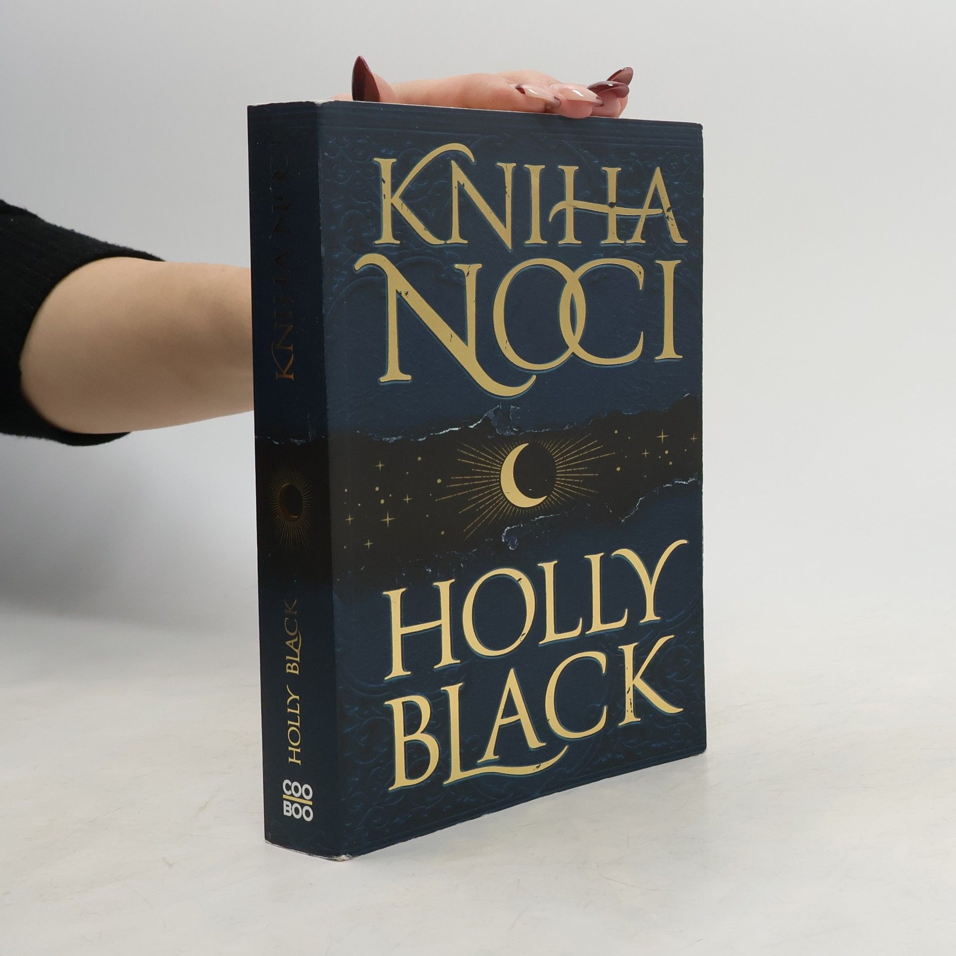 Holly Black Kniha noci