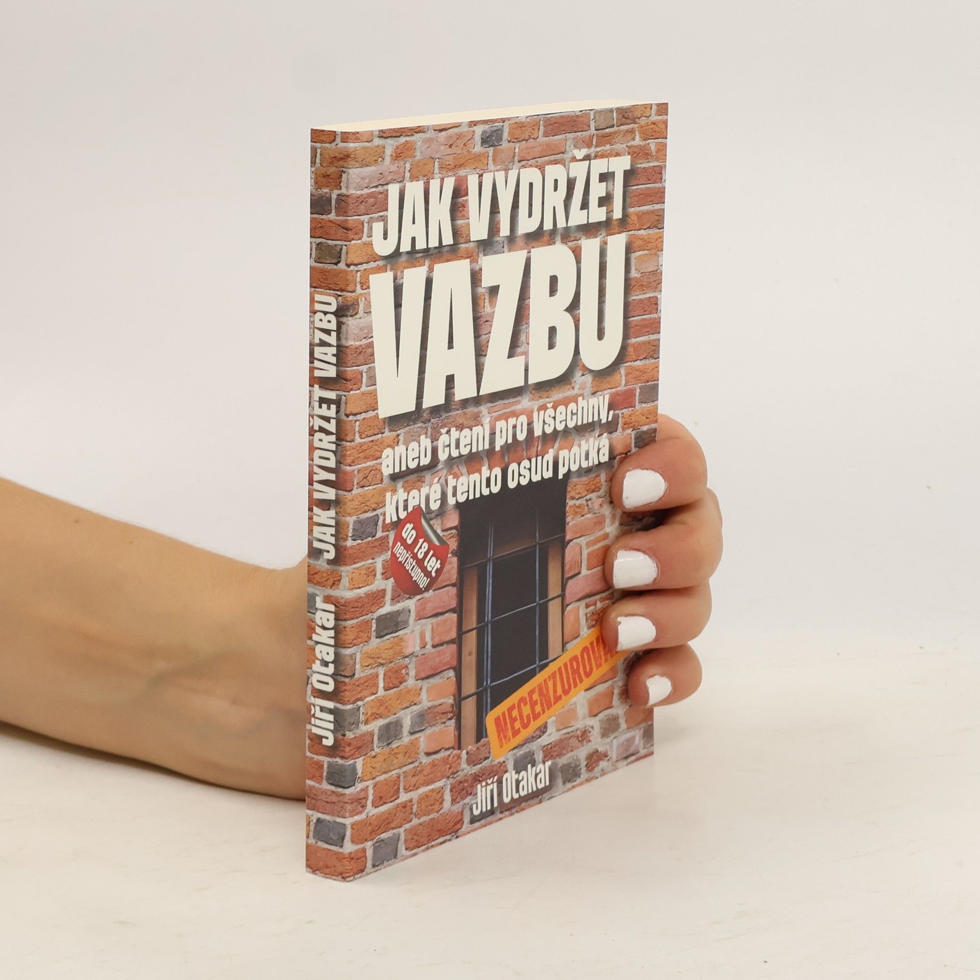 Jak vydržet vazbu, aneb, Čtení pro všechny, které tento osud potká