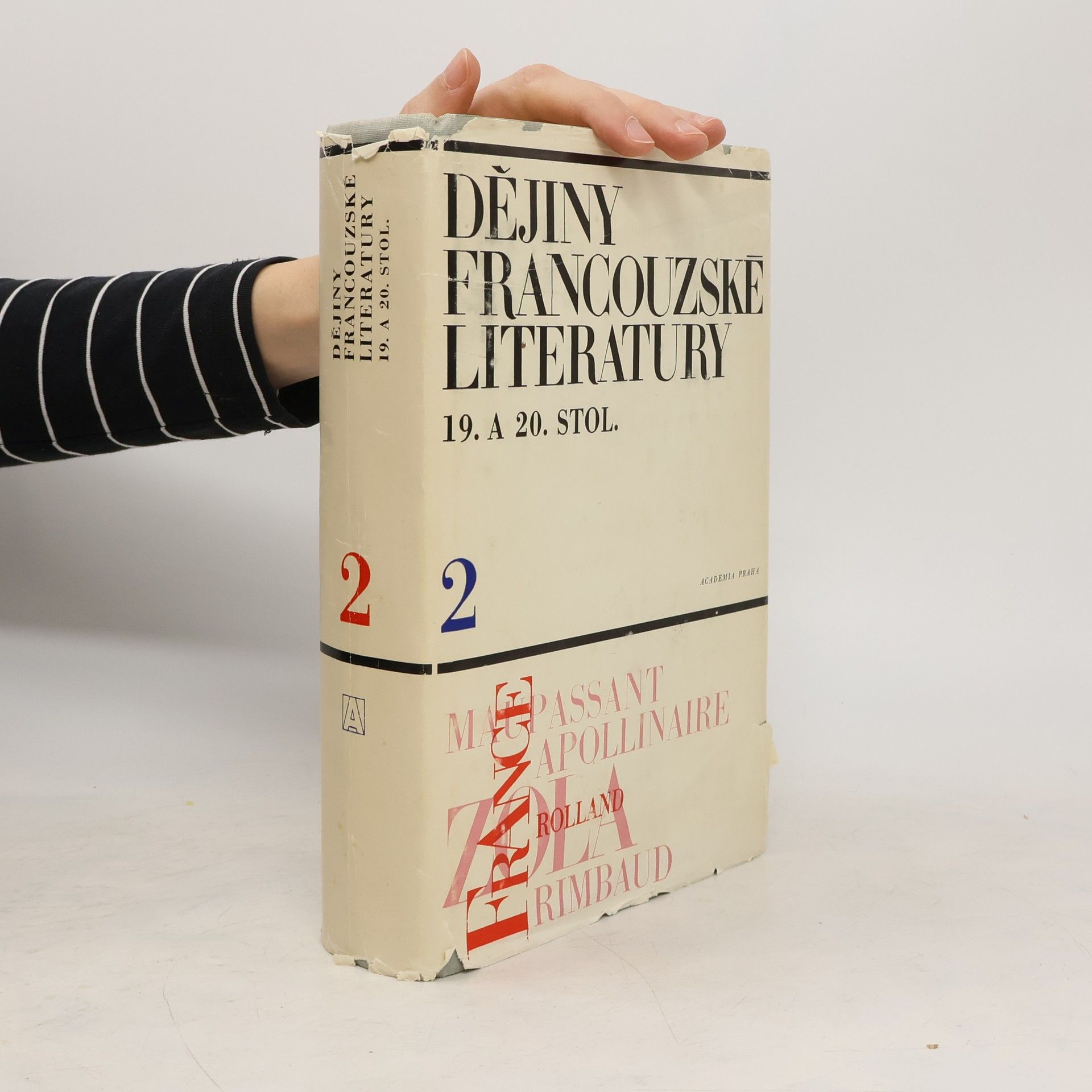 Collectif d'auteurs Dějiny francouzské literatury 19. a 20. století 2.díl