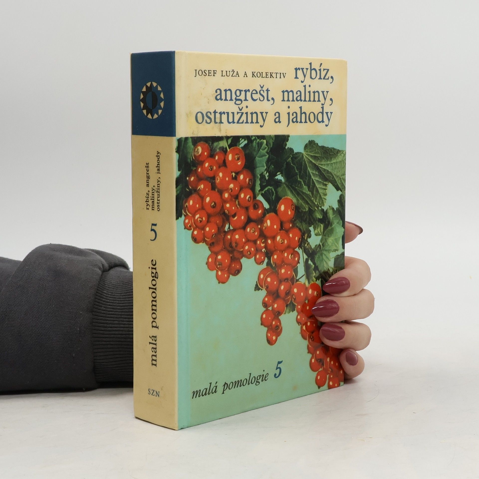 Malá pomologie 5. Rybíz, angrešt, maliny, ostružiny a jahody