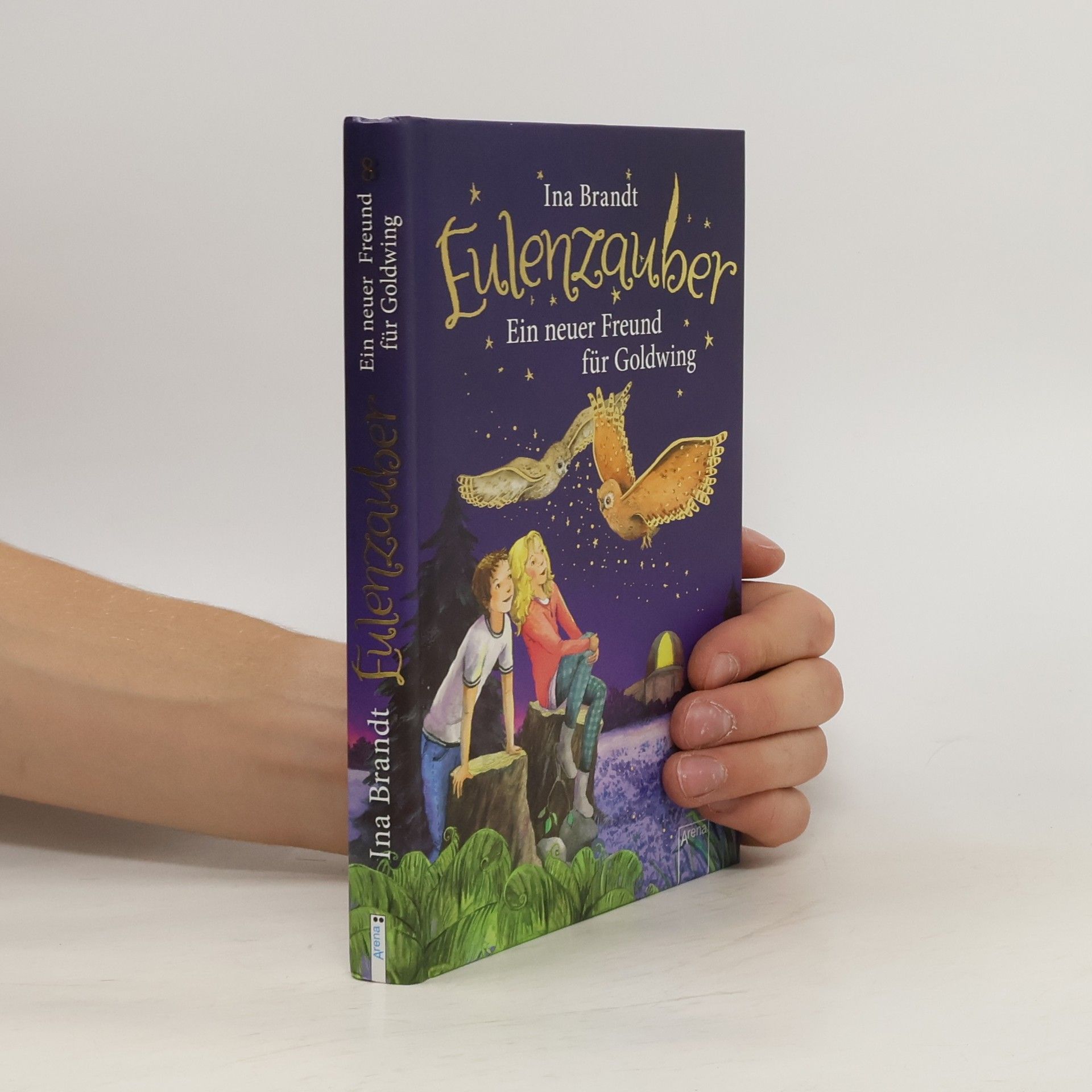 Ina Brandt Ein neuer Freund für Goldwing