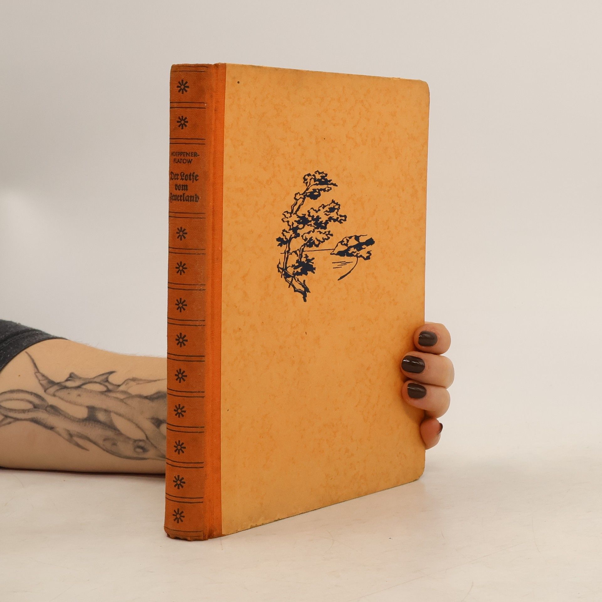 Wilhelm Hoeppener Der Lotse vom Feuerland