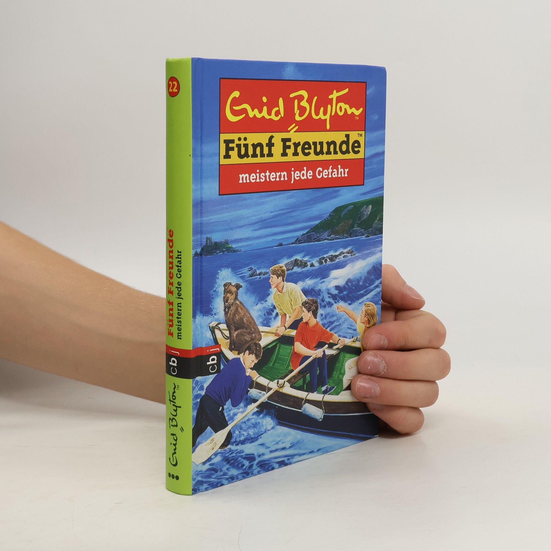 Enid Blyton Fünf Freunde meistern jede Gefahr