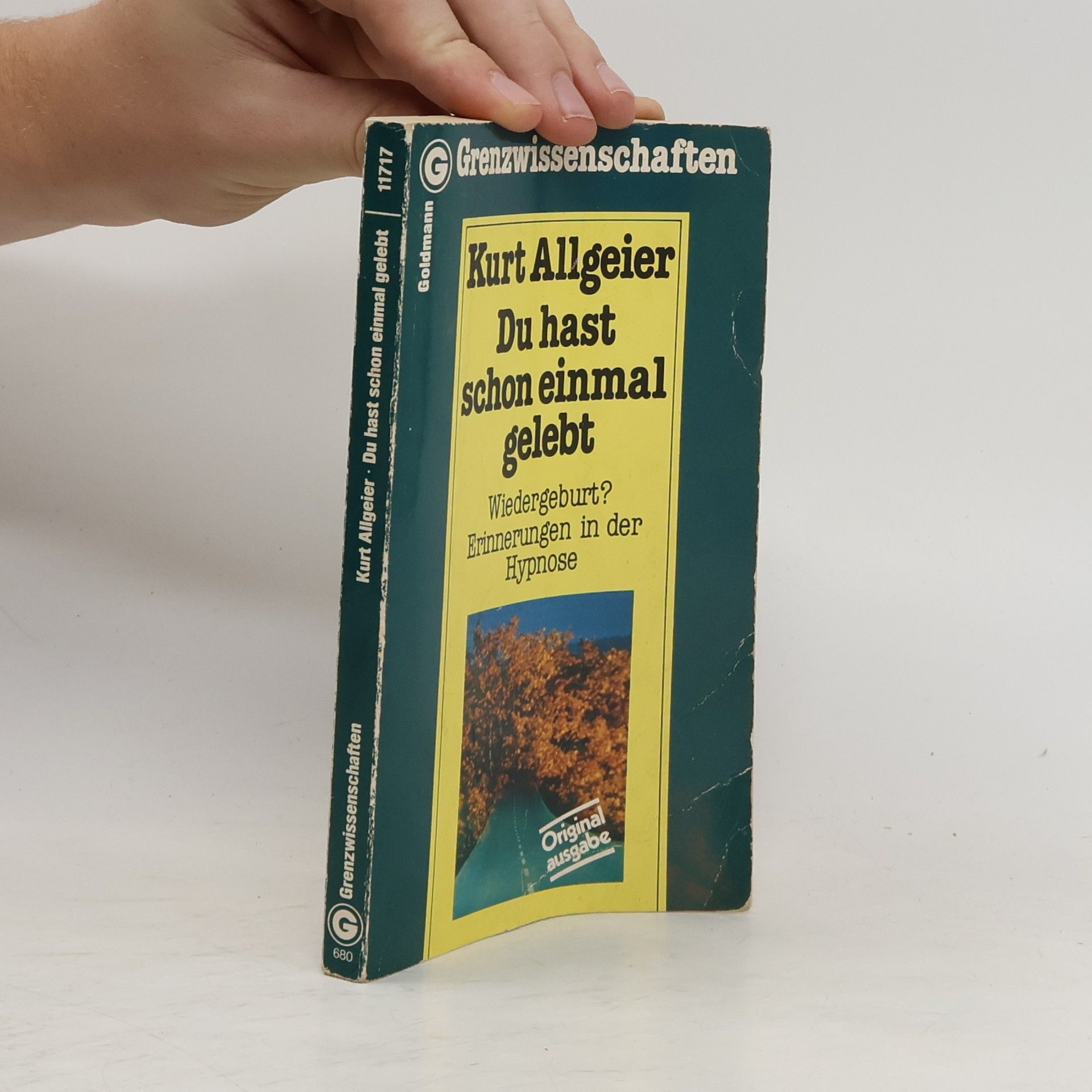 Kurt Allgeier Du hast schon einmal gelebt