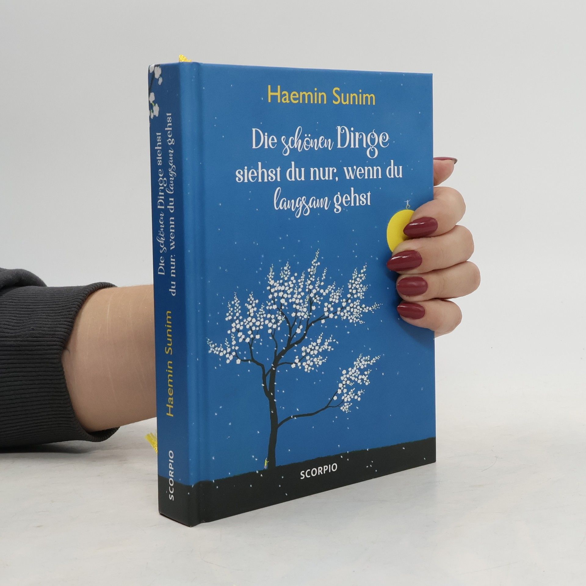 Haemin Die schönen Dinge siehst du nur, wenn du langsam gehst