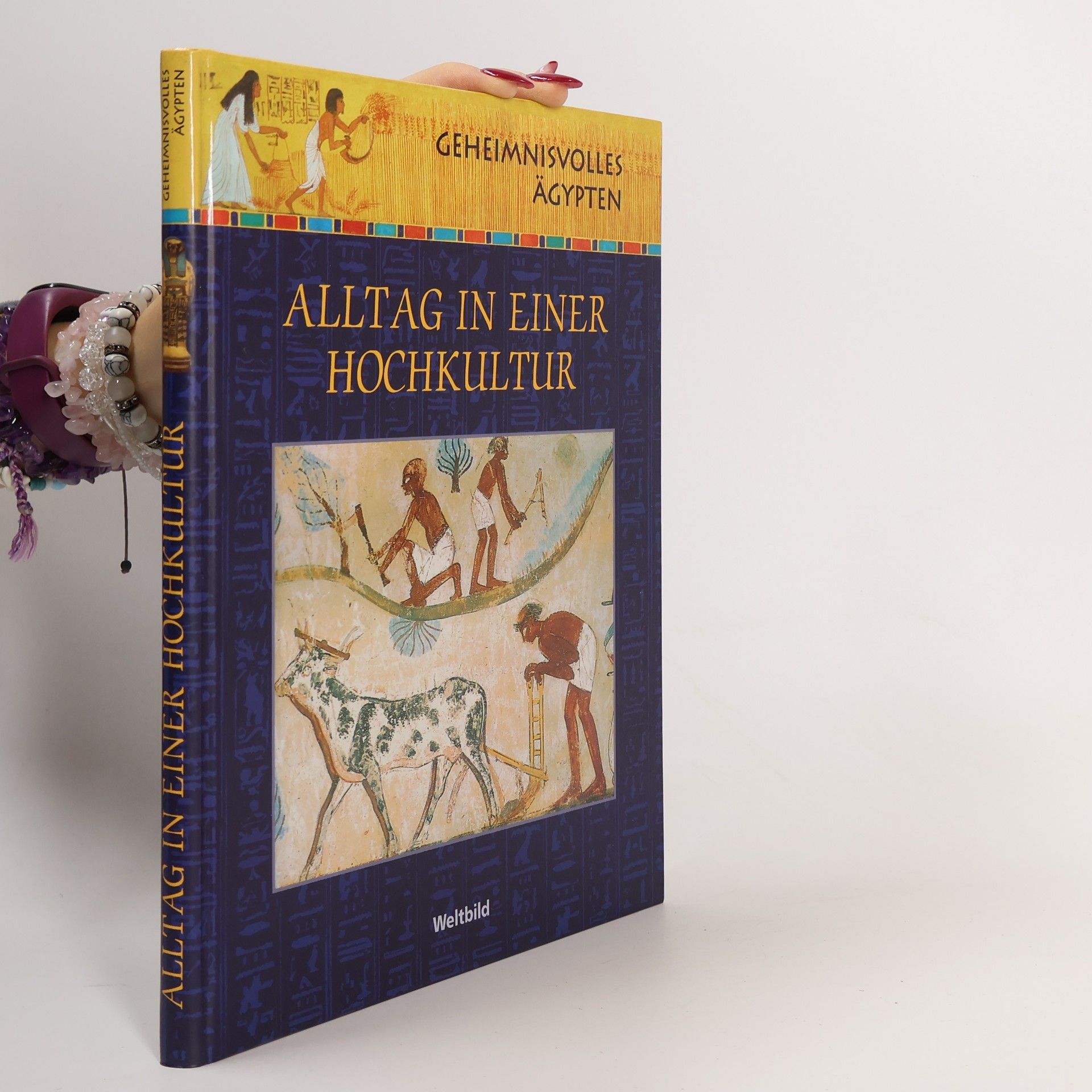 Collectif d'auteurs Alltag in einer Hochkultur