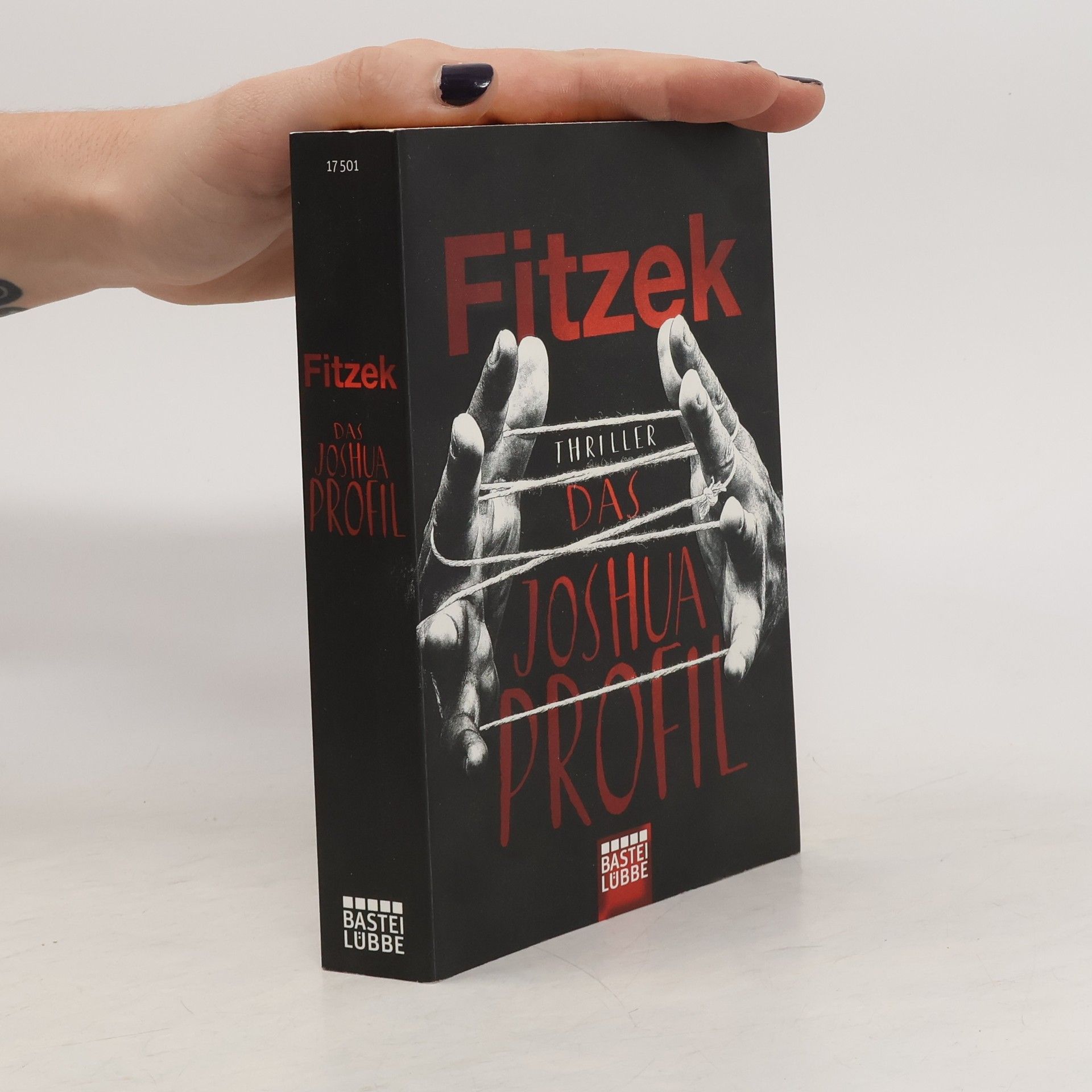 Sebastian Fitzek Das Joshua-Profil