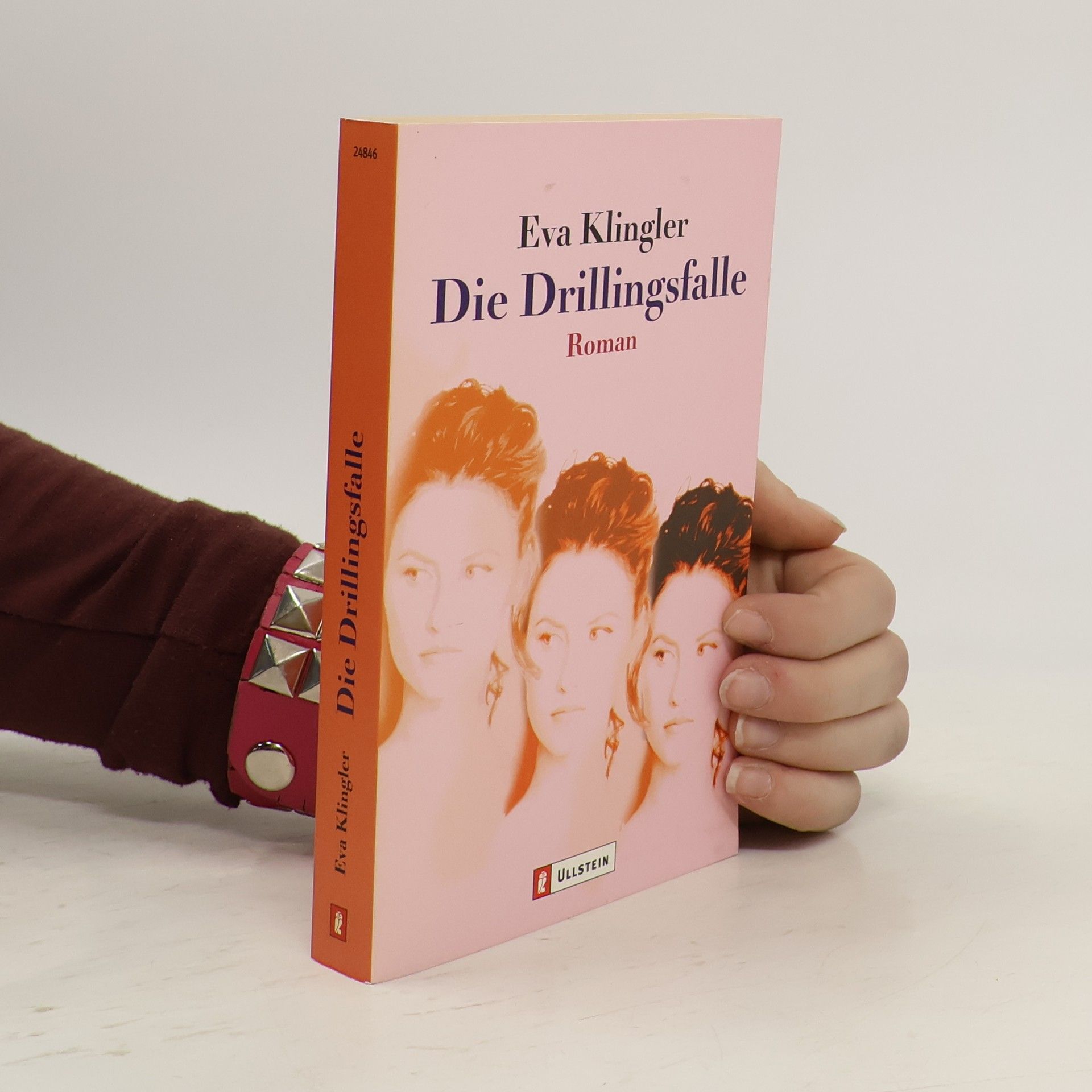 Eva Klingler Die Drillingsfalle. Roman