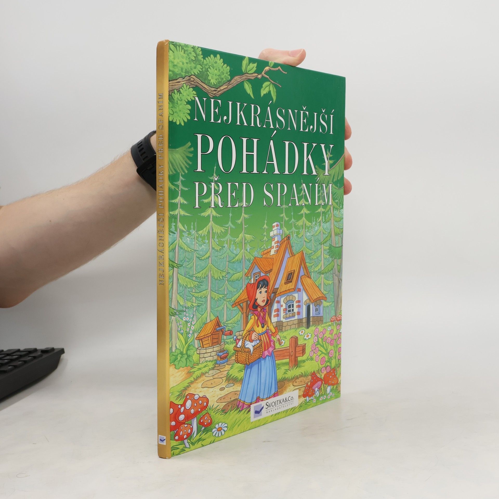 Charles Perrault Nejkrásnější pohádky před spaním