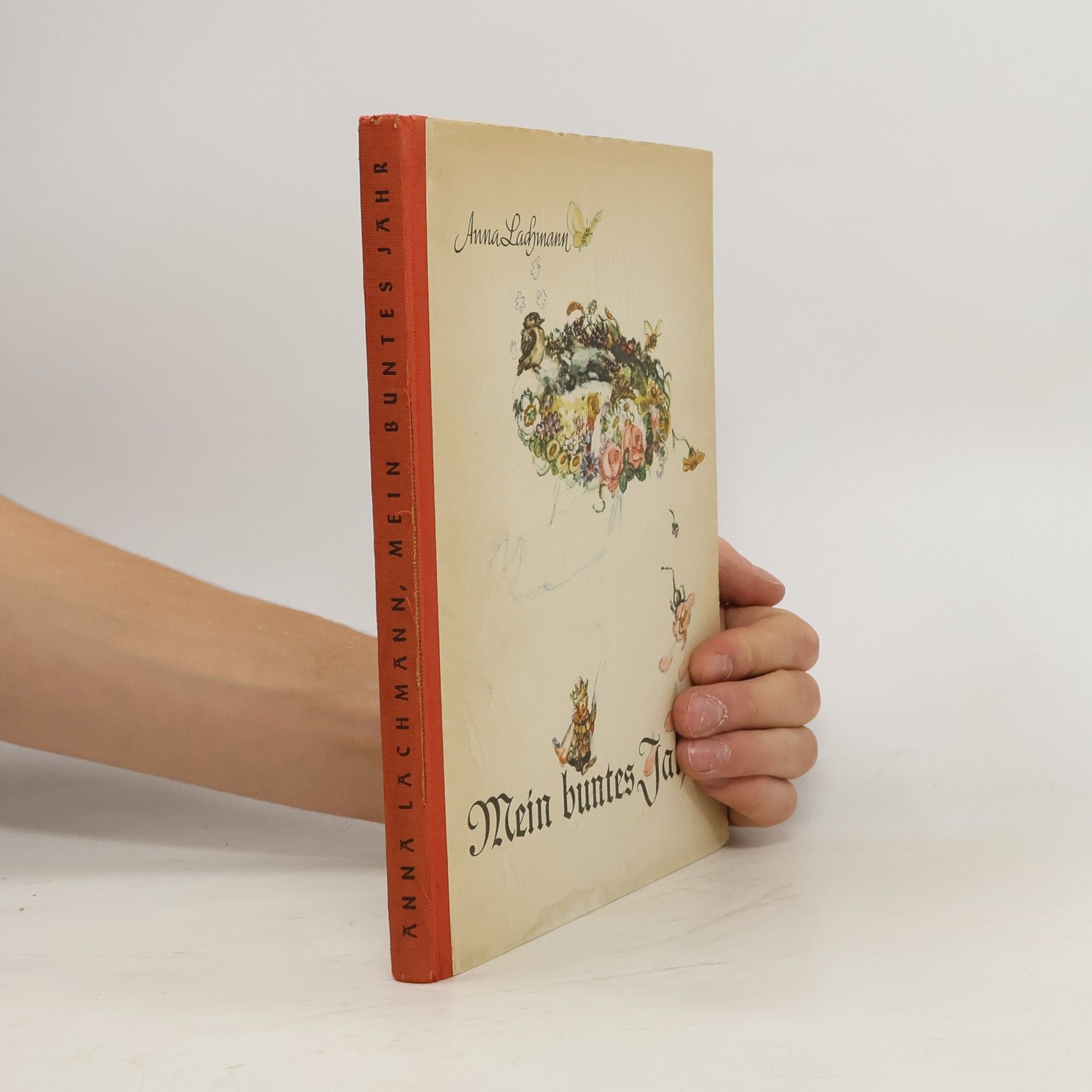 Anna Lachmann Mein Buntes Jahr