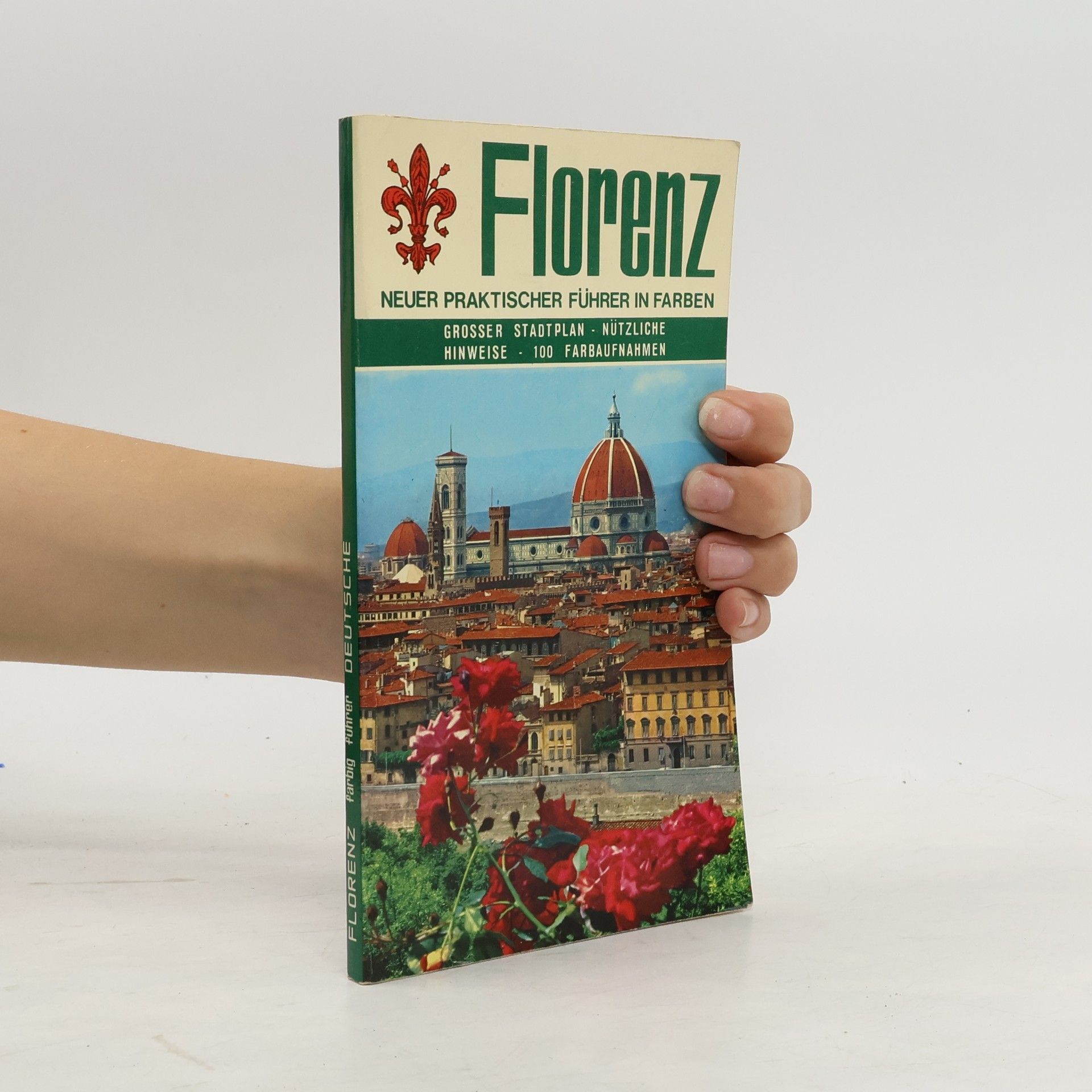 Autorenkollektiv Florenz. Neuer Praktischer Führer in Farben