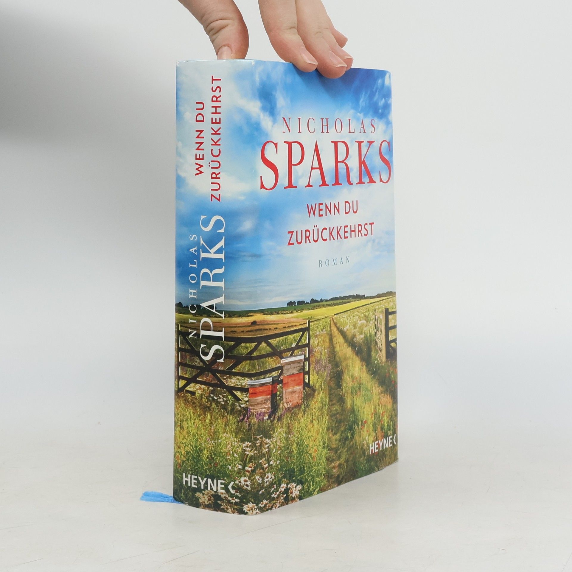 Nicholas Sparks Wenn du zurückkehrst