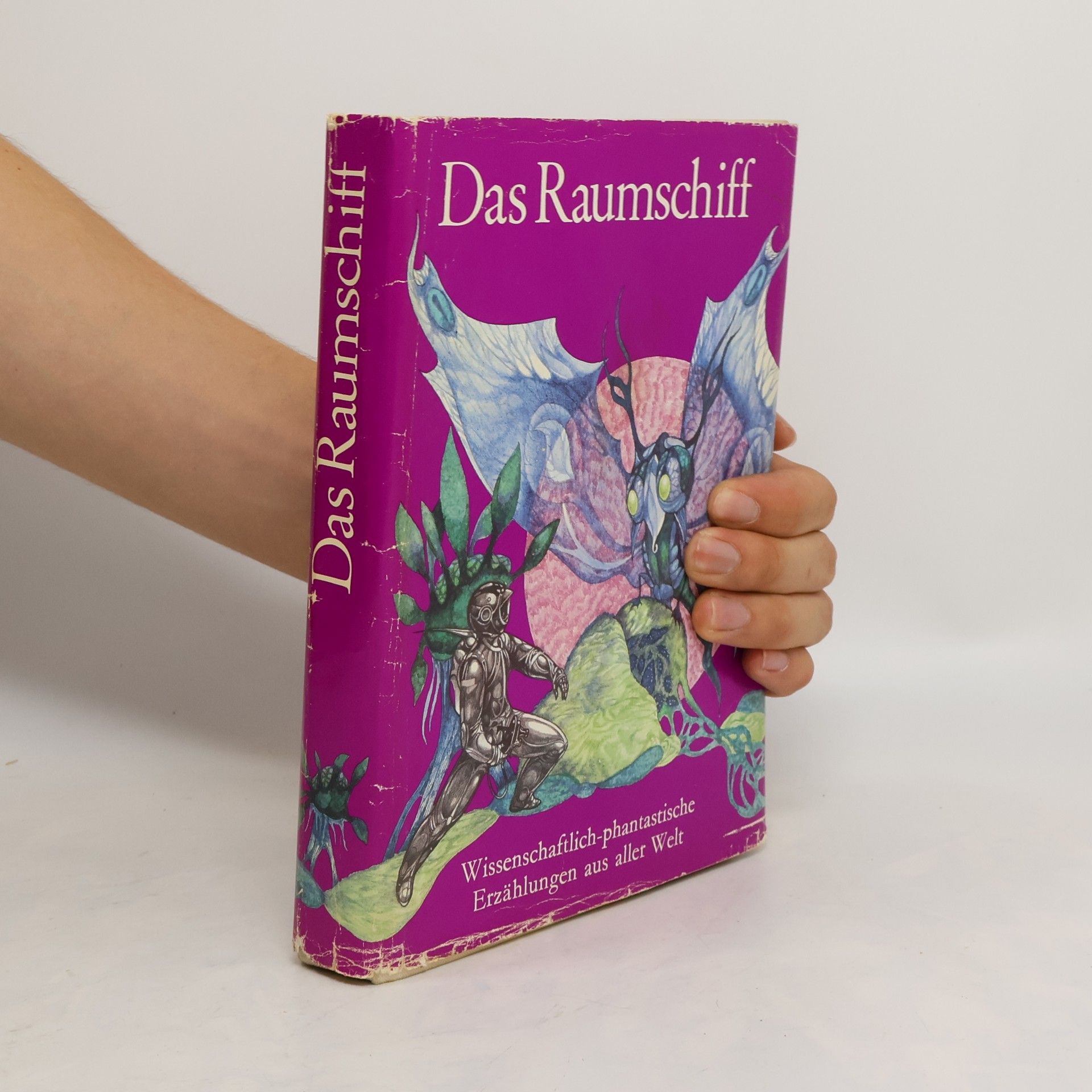 Autorenkollektiv Das Raumschiff