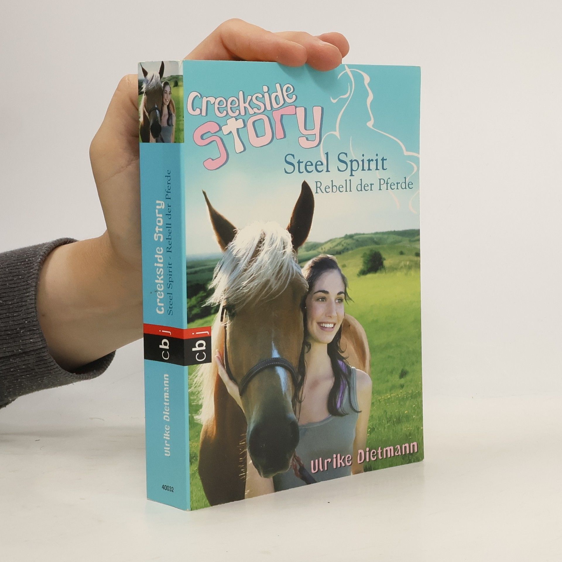 Ulrike Dietmann Creekside Story. Steel Spirit