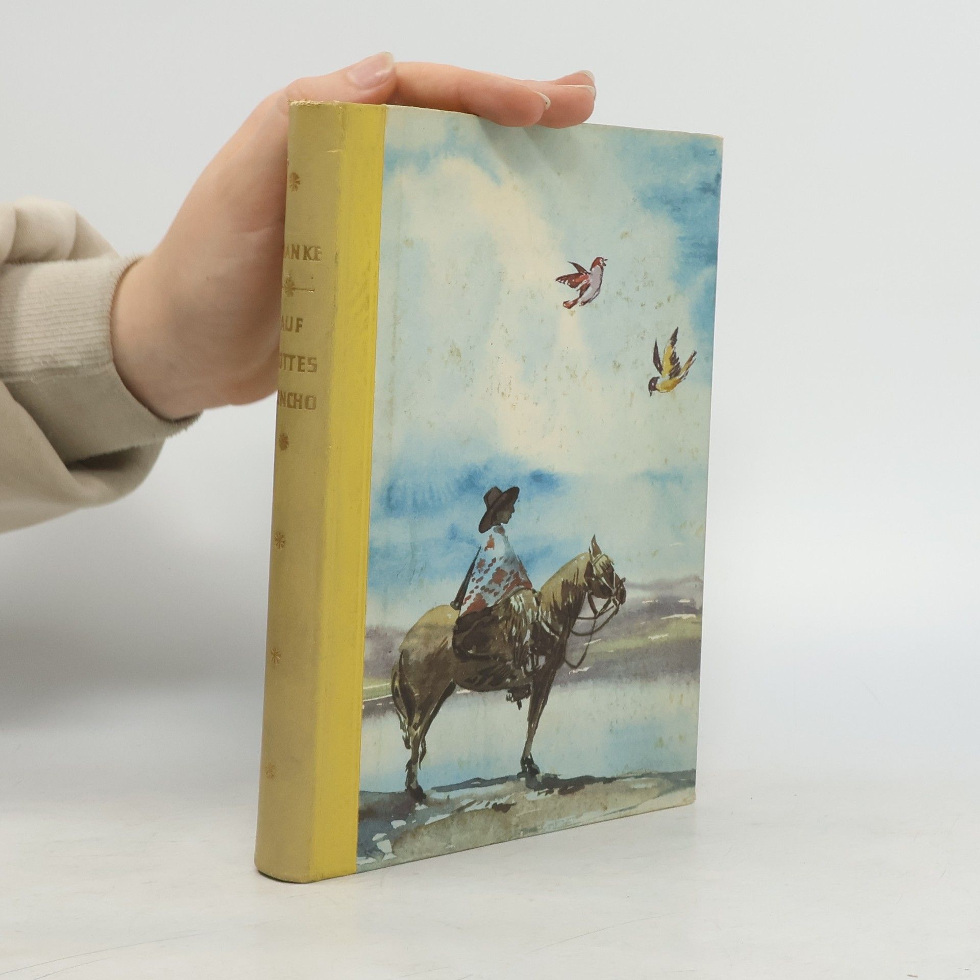 Friedrich Franke Auf Gottes Poncho