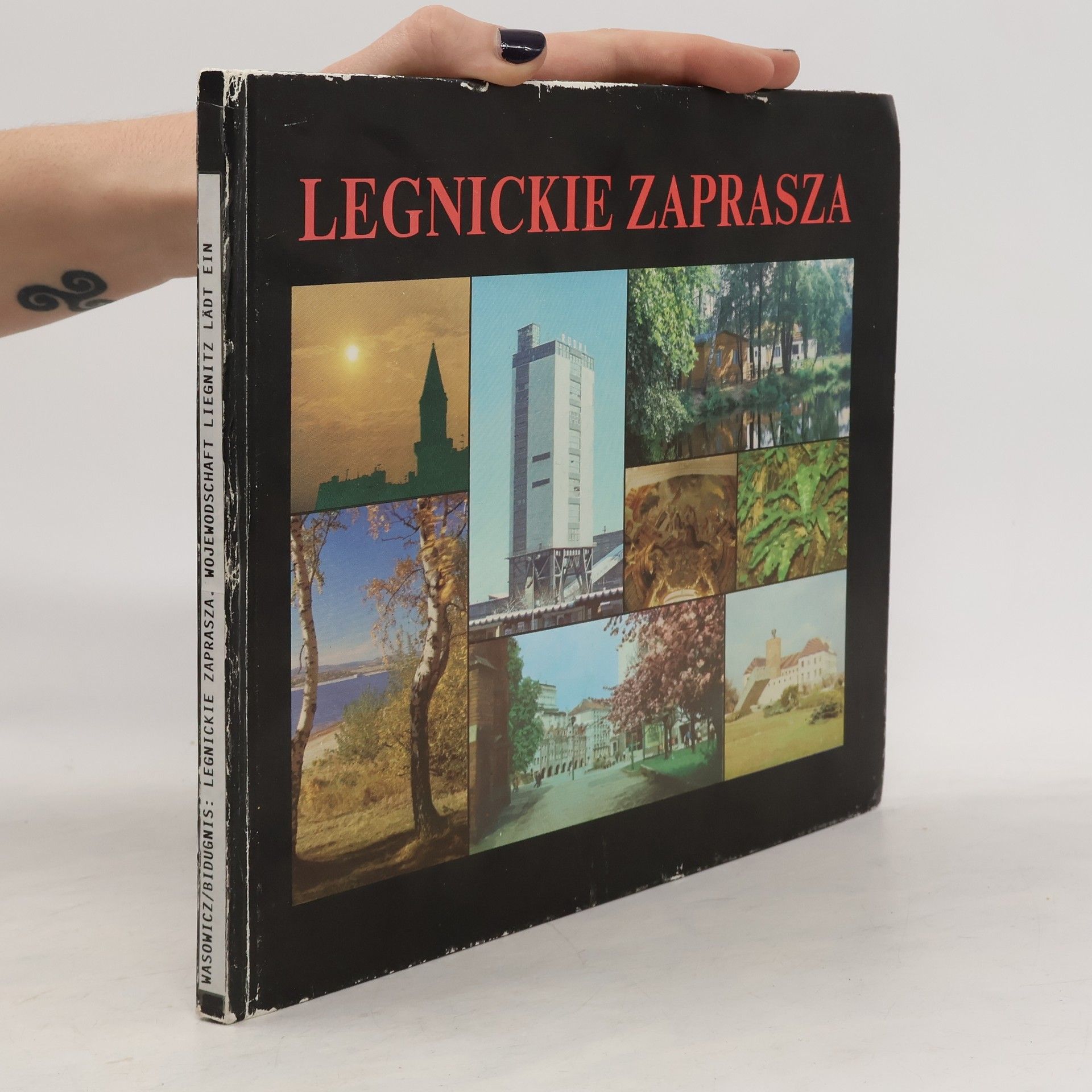 Collectif d'auteurs Legnickie zaprasza