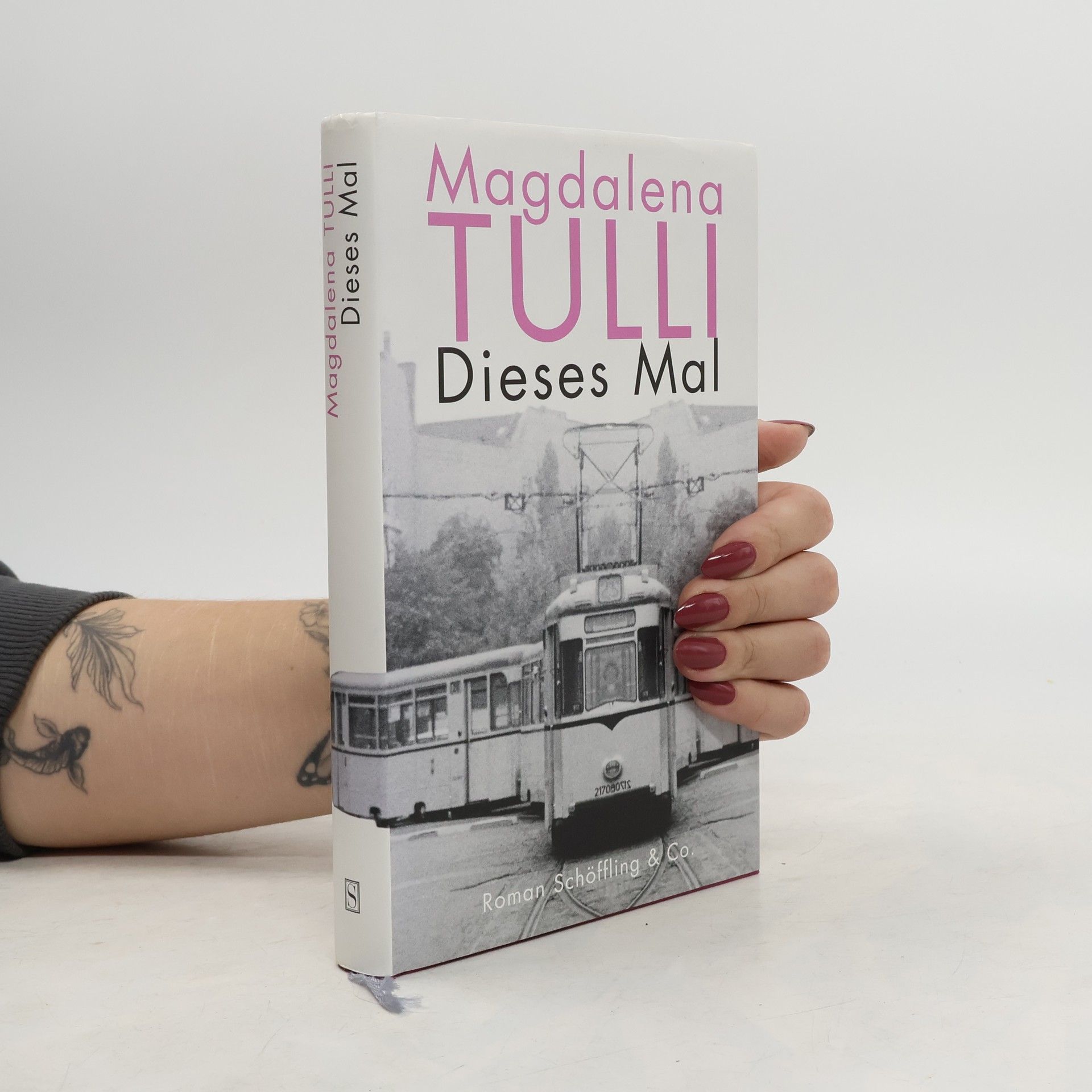 Magdalena Tulli Dieses Mal