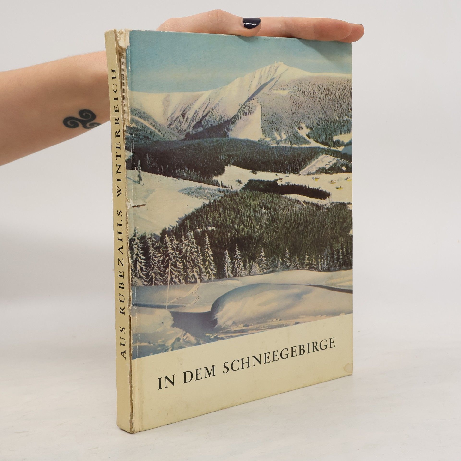 Collectif d'auteurs In dem Schneegebirge