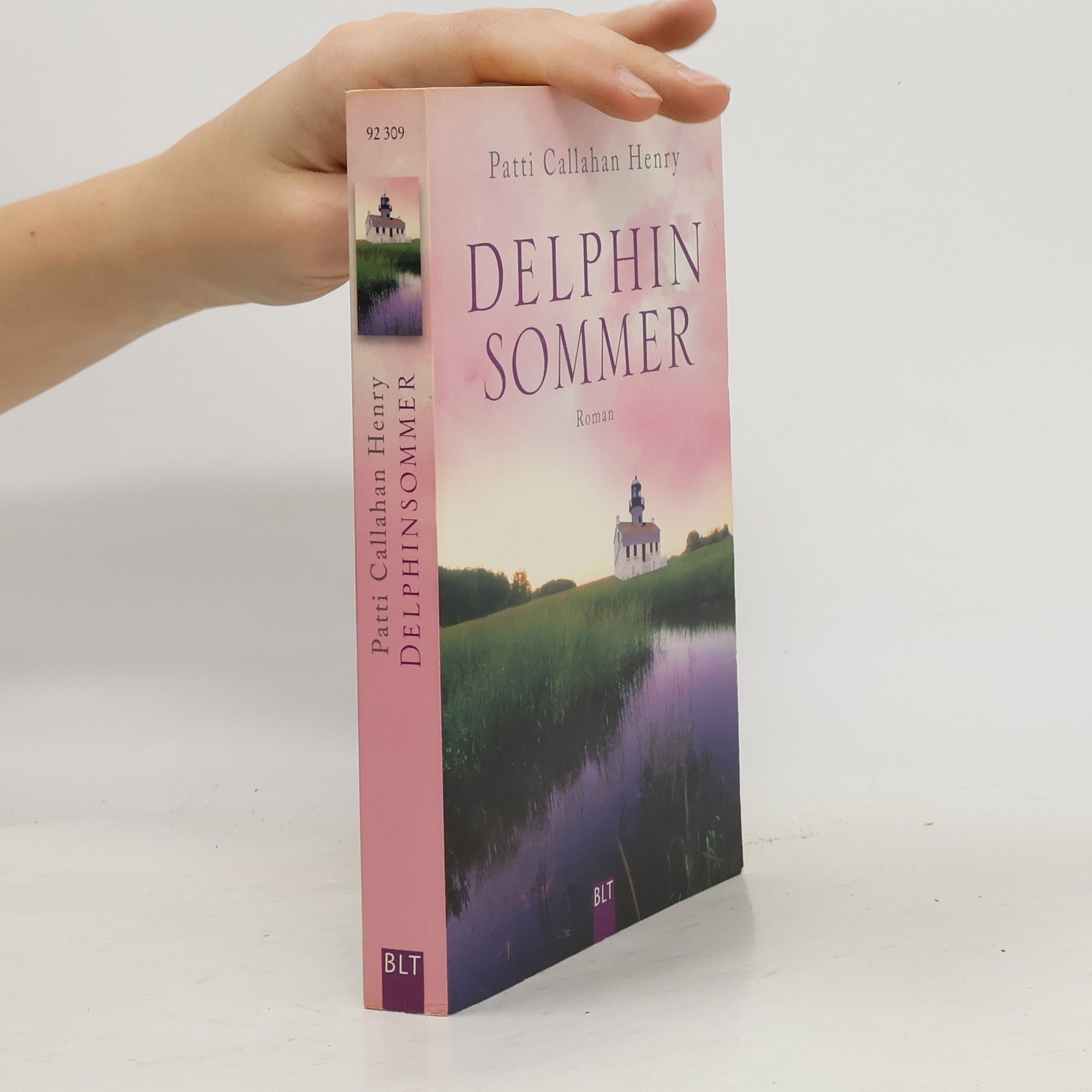 Patti Callahan Henry Delphinsommer