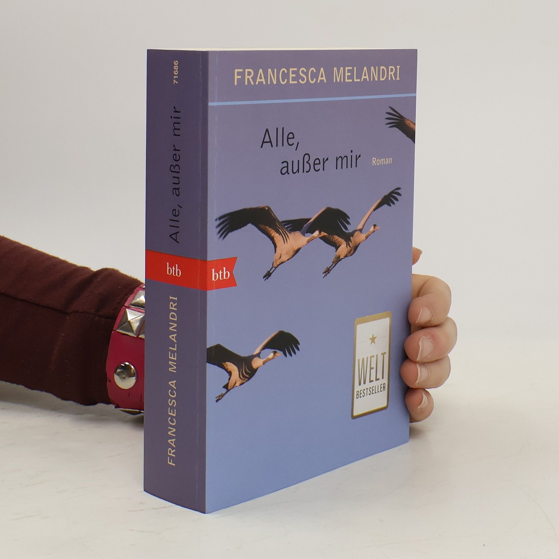 Francesca Melandri Alle, außer mir