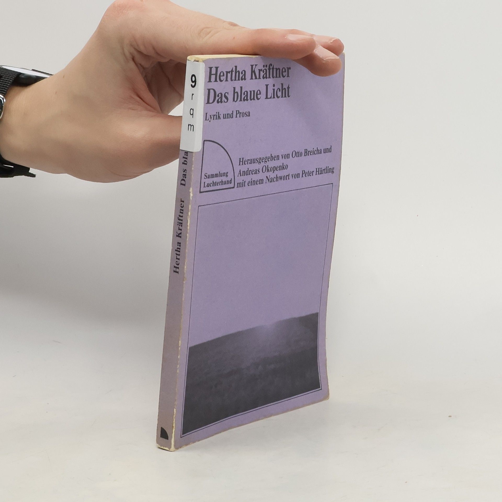 Hertha Kräftner Das blaue Licht. Lyrik und Prosa