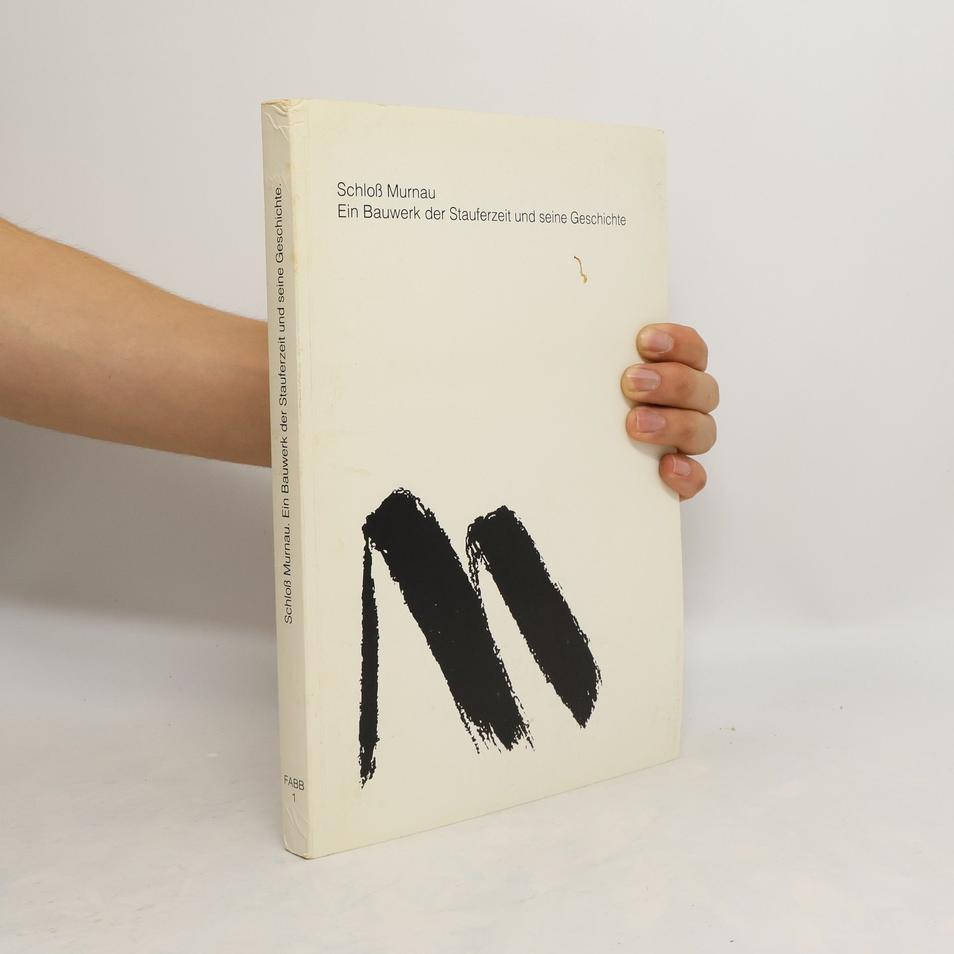 AA.VV. Schloß Murnau