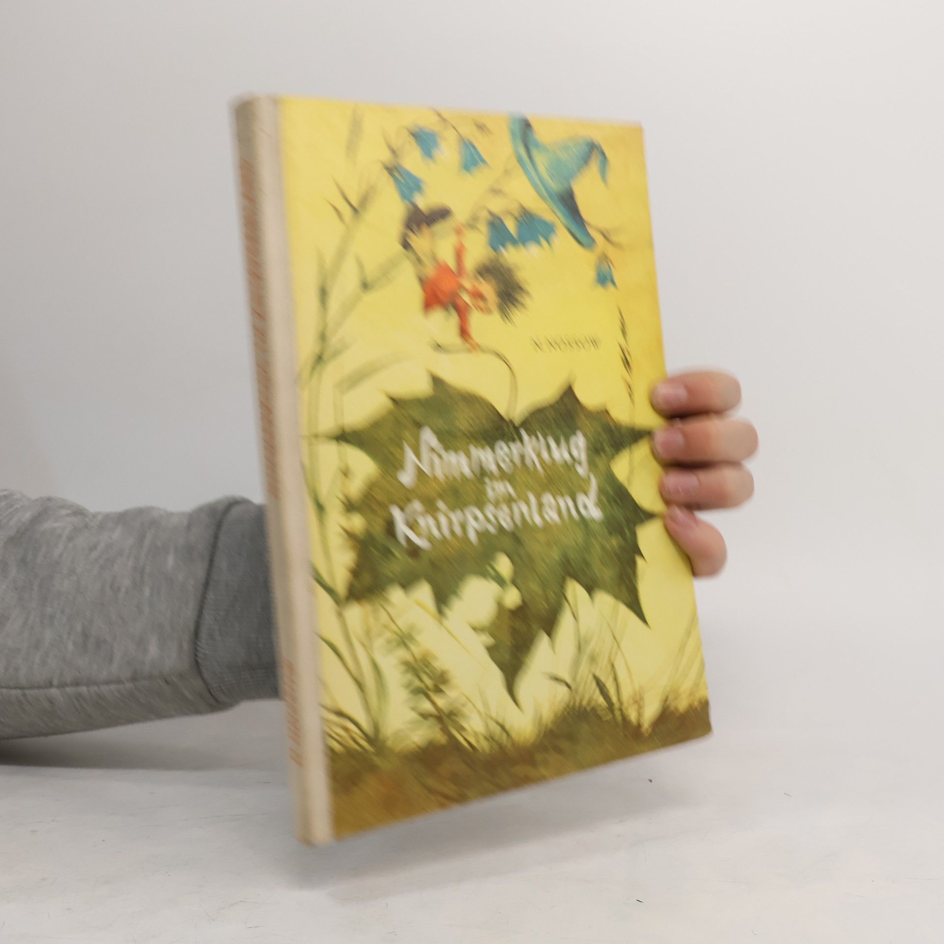 Nimmerklug im Knirpsenland