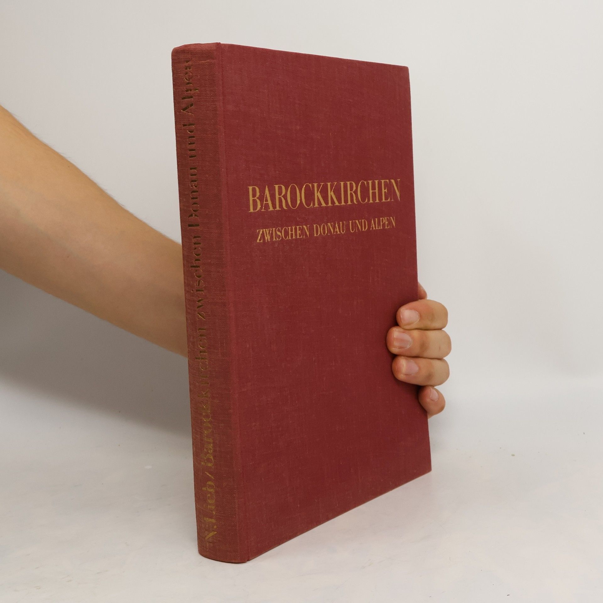 Max Hirmer Barockkirchen: zwischen Donau und Alpen