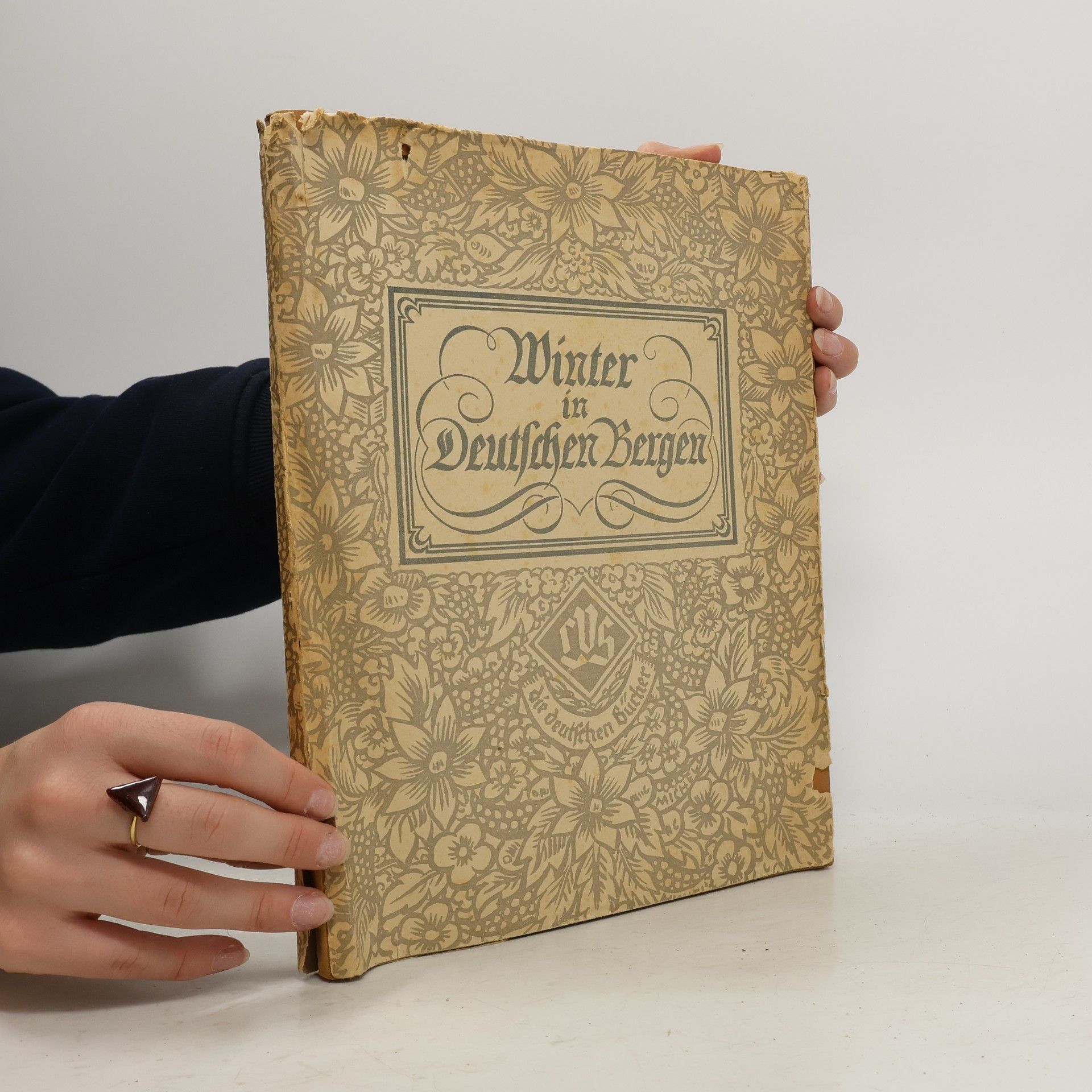 Various authors Winter in Deutschen Bergen