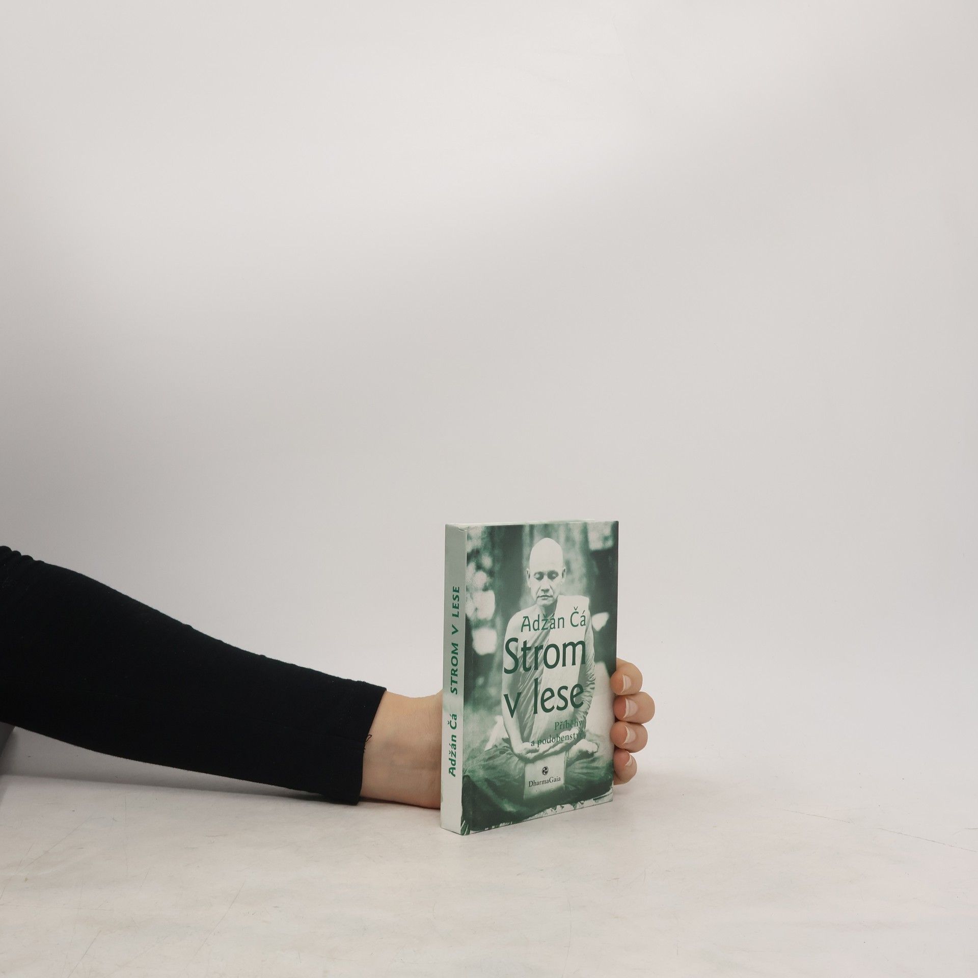 Jiří Černega Strom v lese : příběhy a podobenství