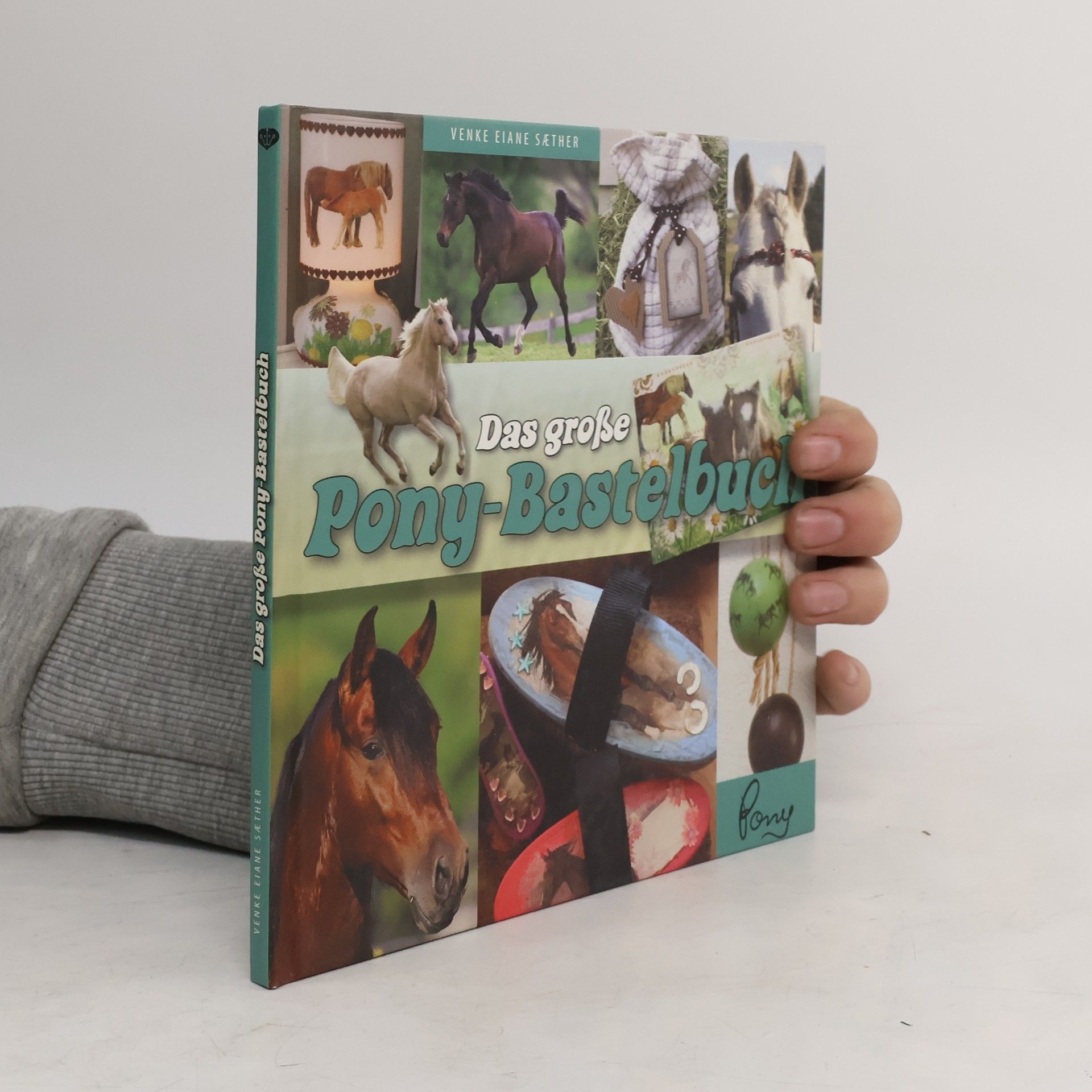 Autores varios Das große Pony-Bastelbuch