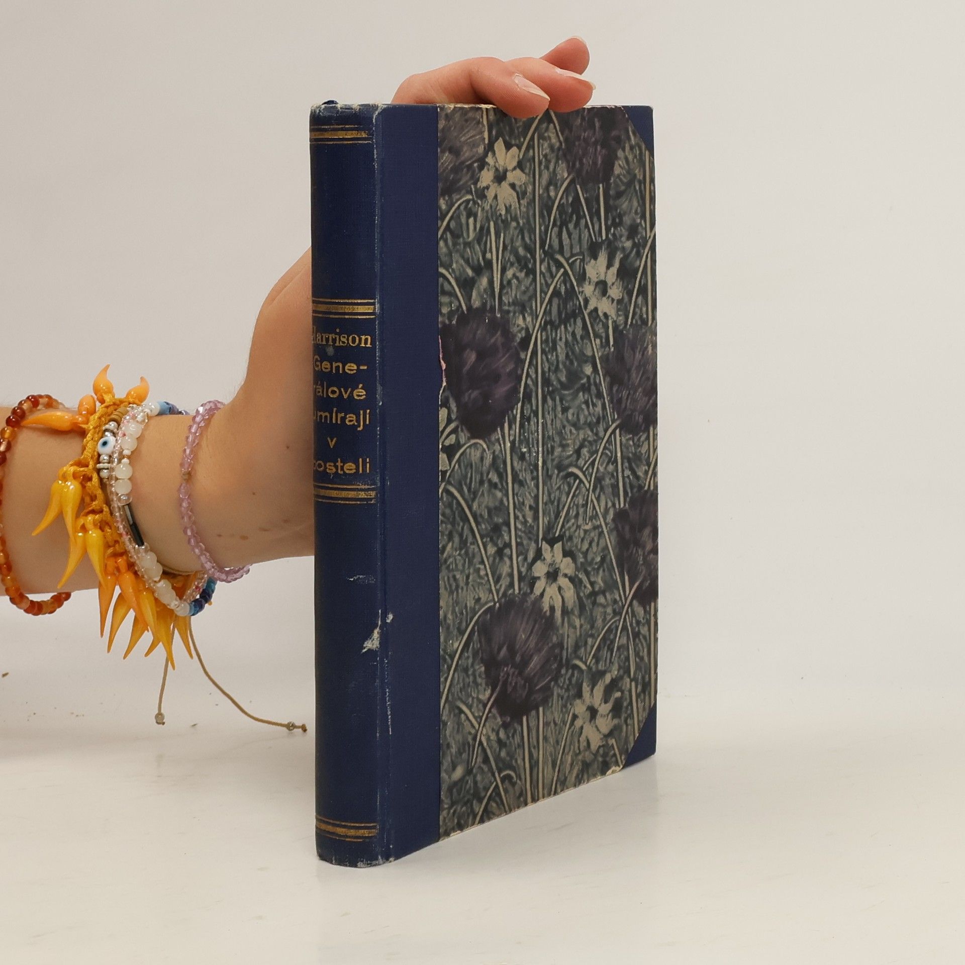 Charles Yale Harrison Generálové umírají v posteli