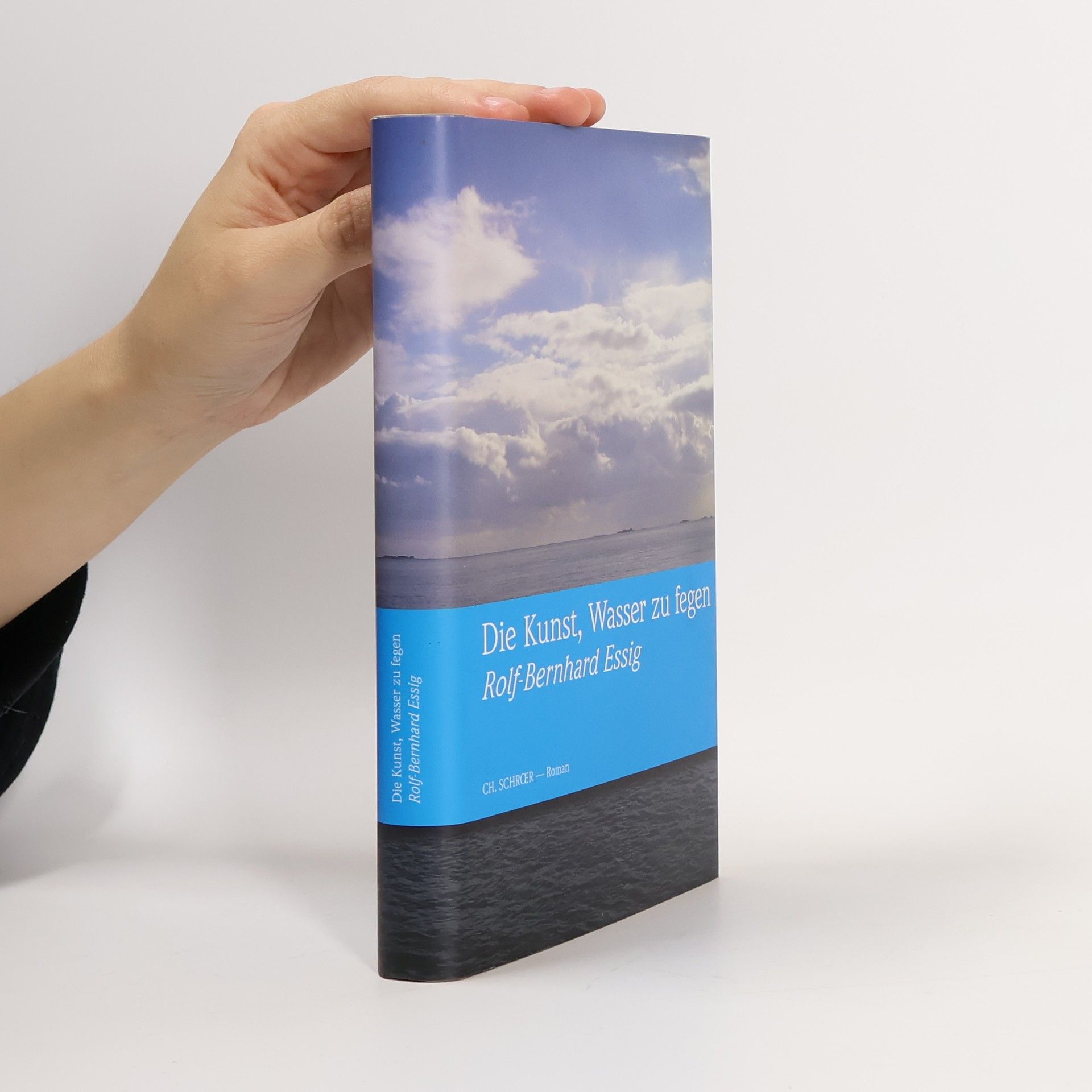 Die Kunst, Wasser zu fegen