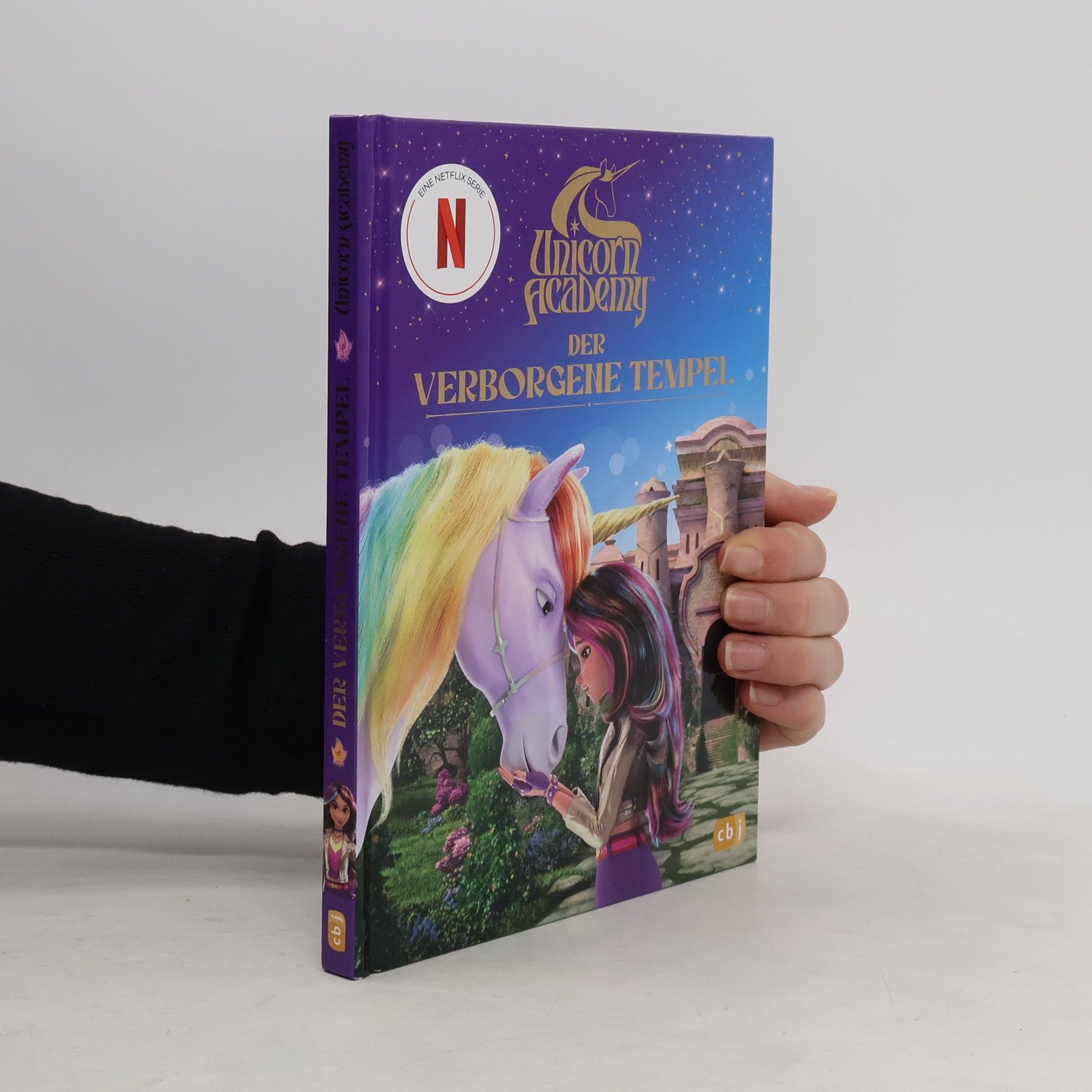 Collectif d'auteurs Unicorn Academy – Der verborgene Tempel