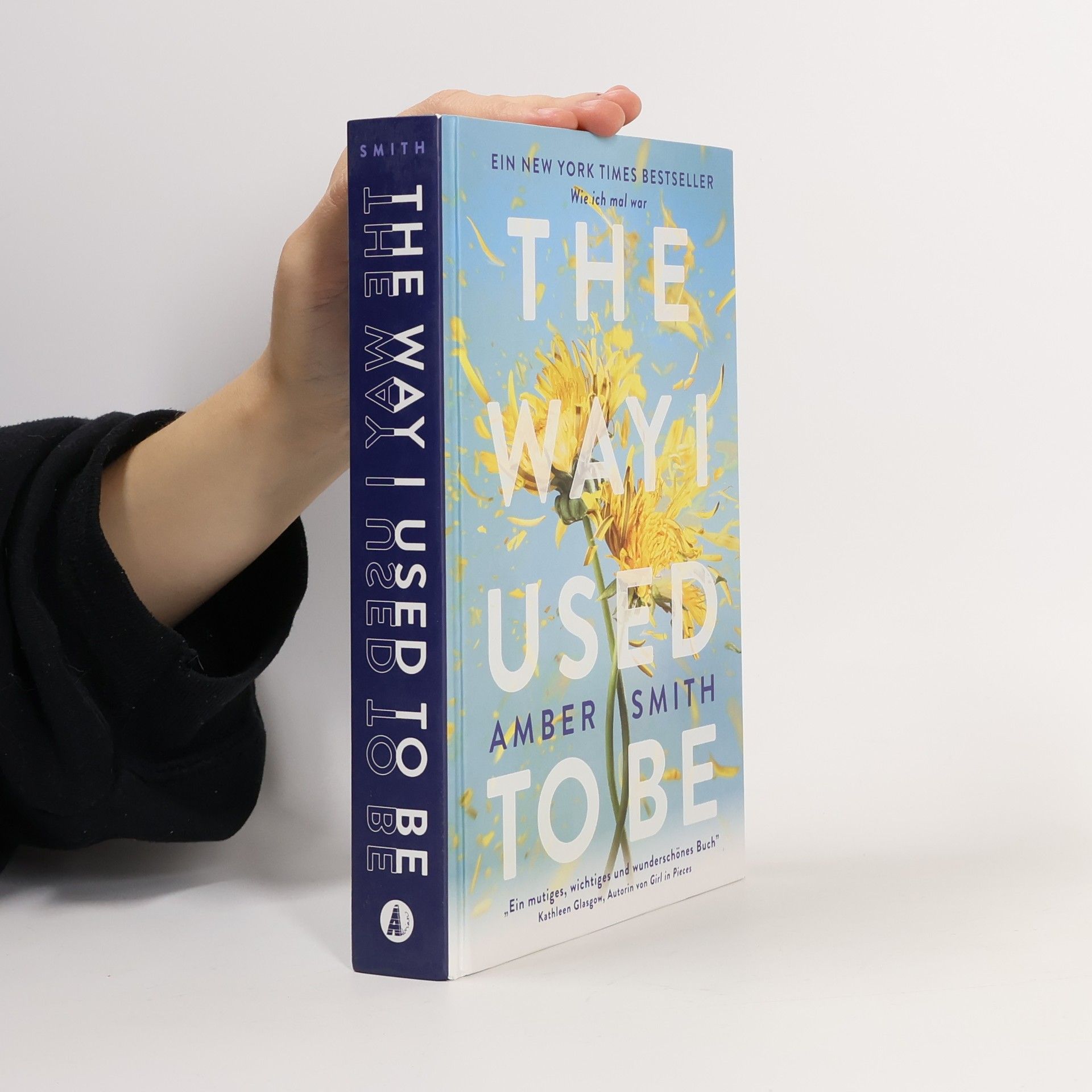 Amber Smith Wie ich mal war. The Way I Used to Be