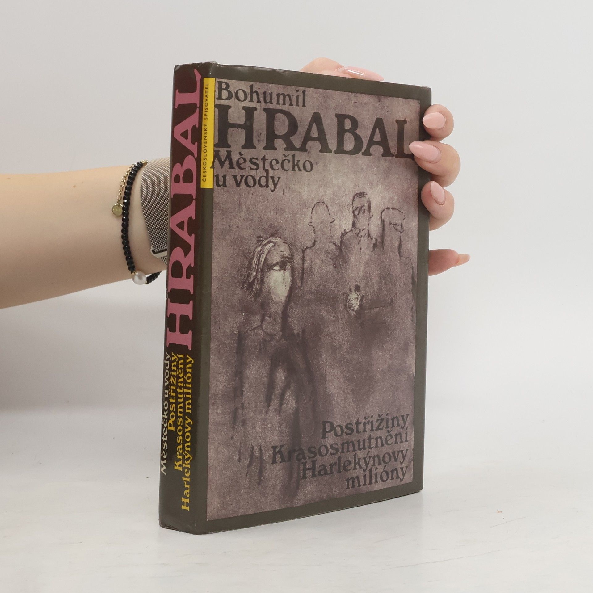 Bohumil Hrabal Městečko u vody