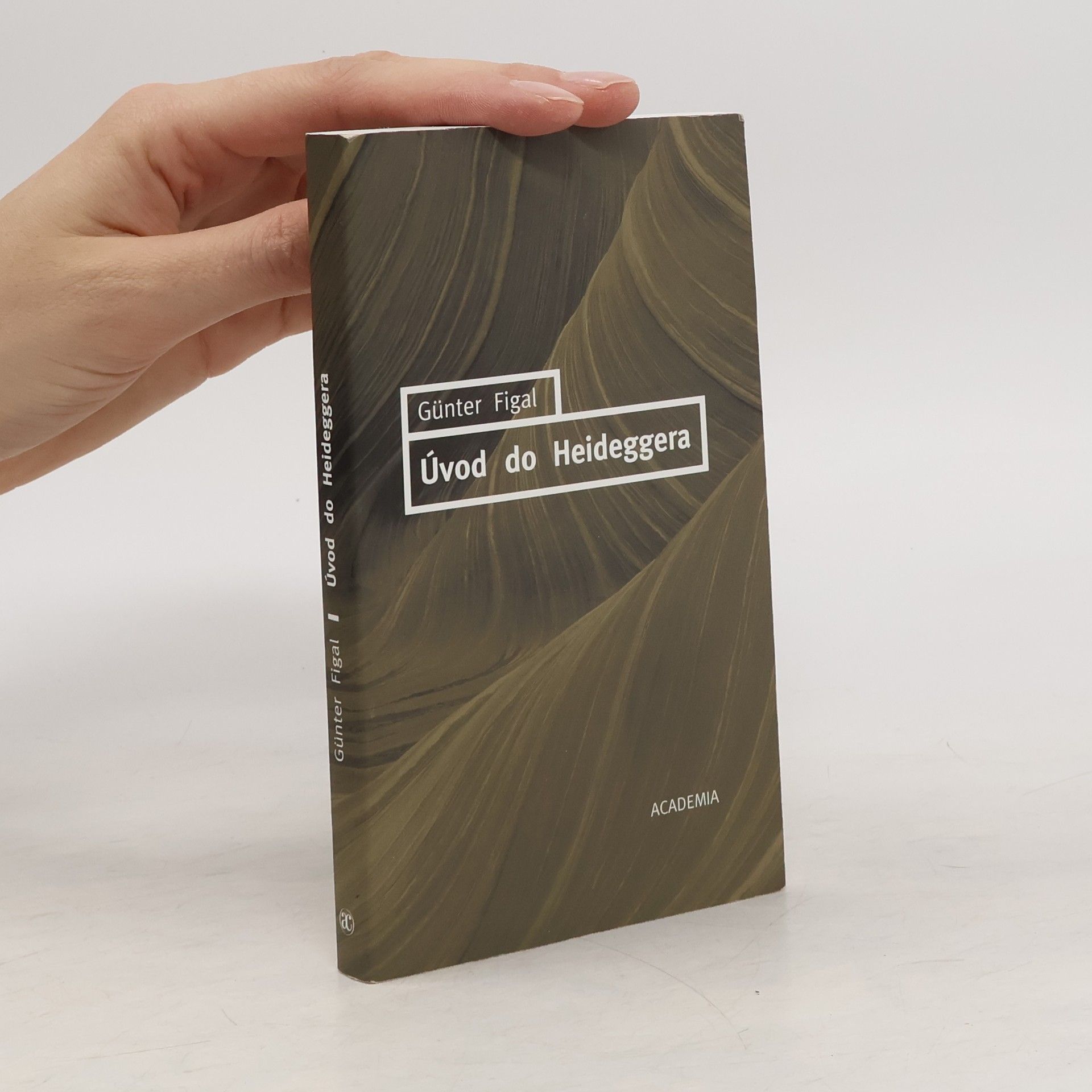 Günter Figal Úvod do Heideggera