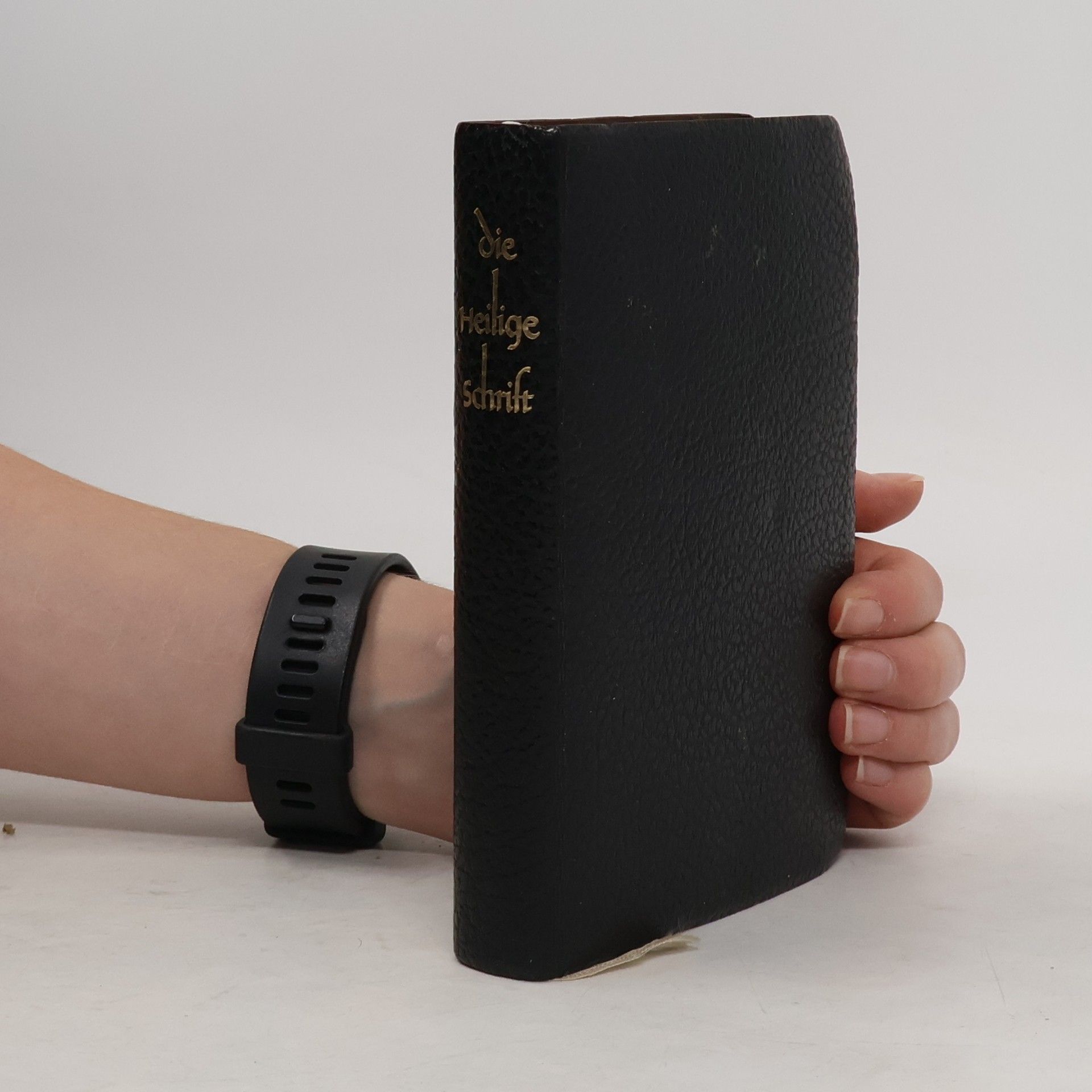 Autorenkollektiv Die heilige schrift