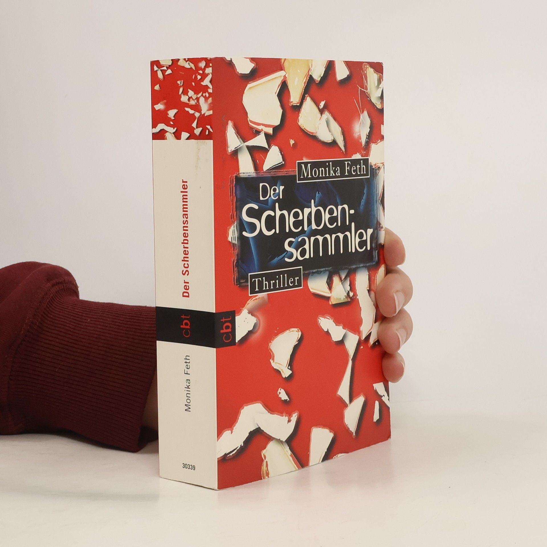 Monika Feth Der Scherbensammler