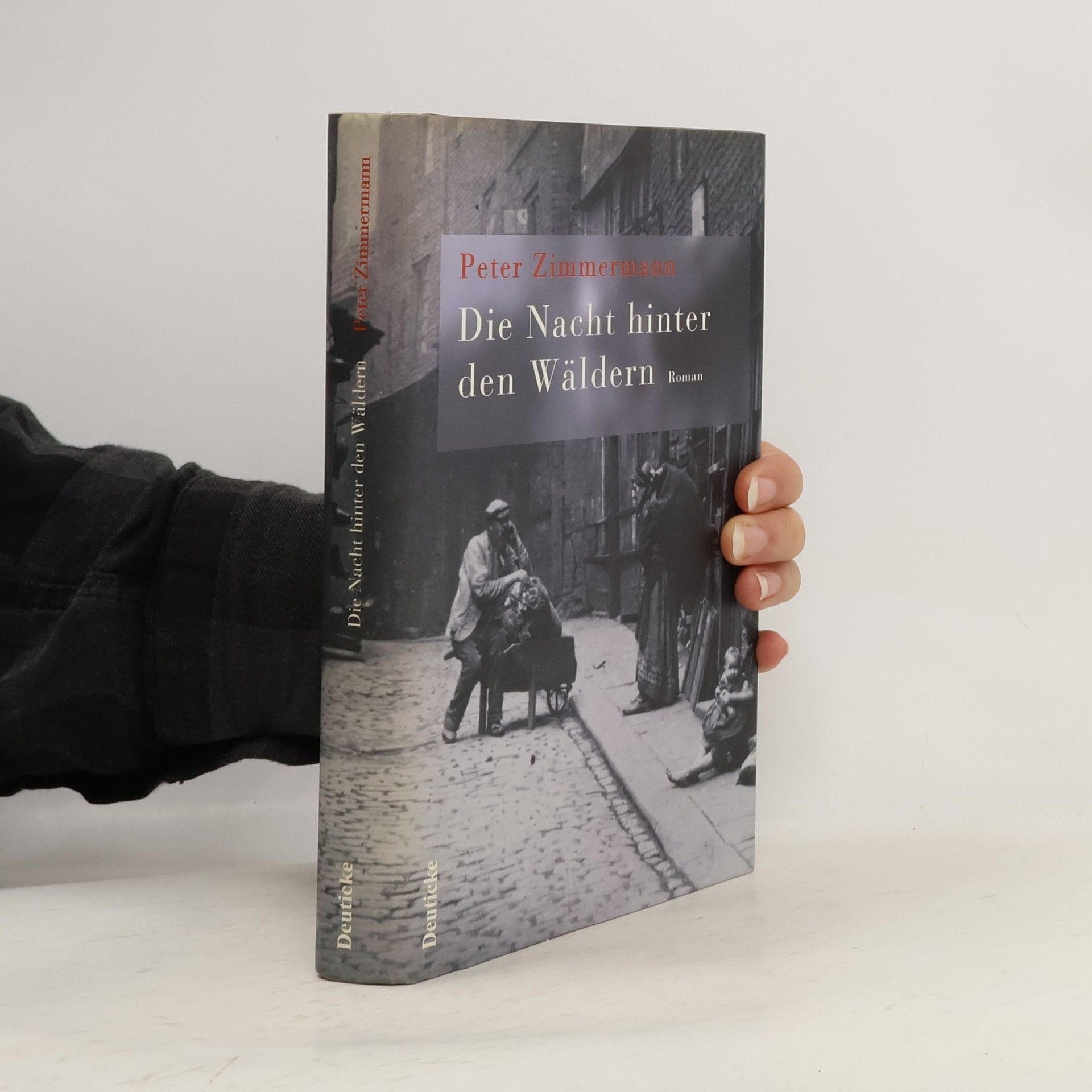 Klaus-Peter Zimmermann Die Nacht hinter den Wäldern