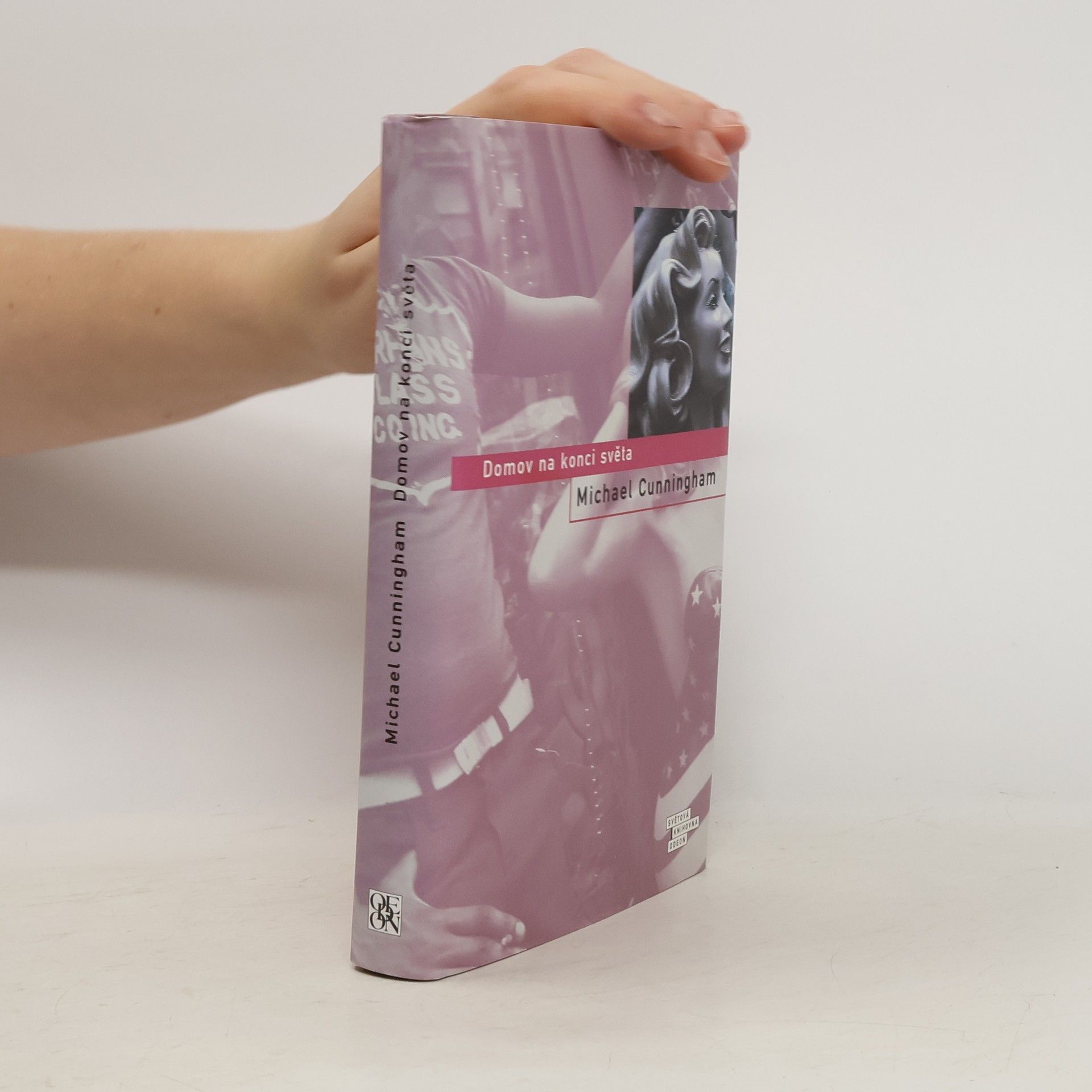 Michael Cunningham Domov na konci světa