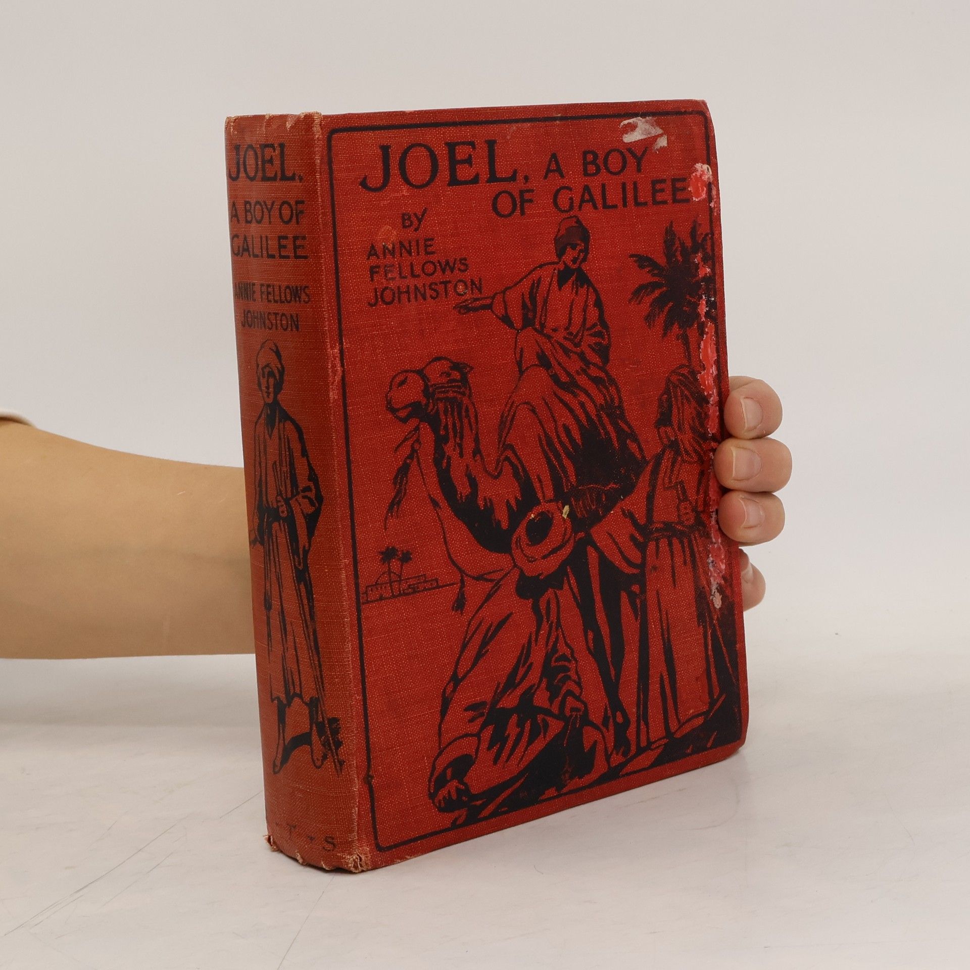 Joel. A Boy of Galilee