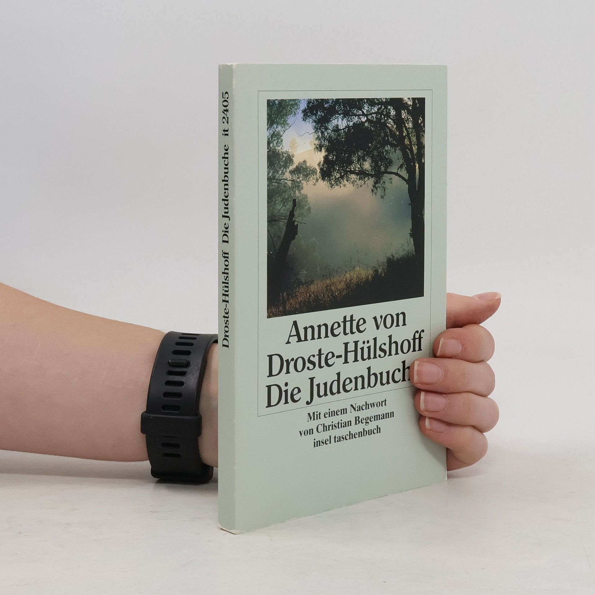 Annette von Droste-Hülshoff Die Judenbuche